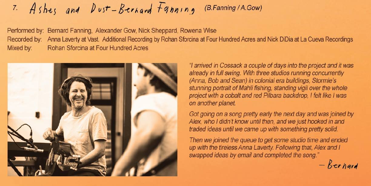 Bernard Fanning (Copy)