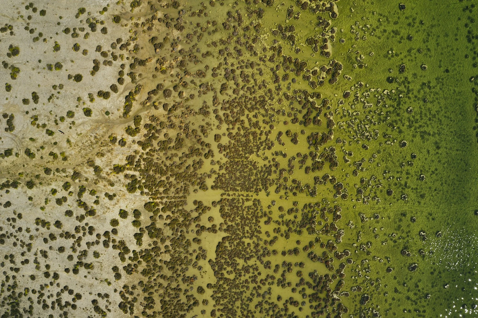 DJI_0343.jpg