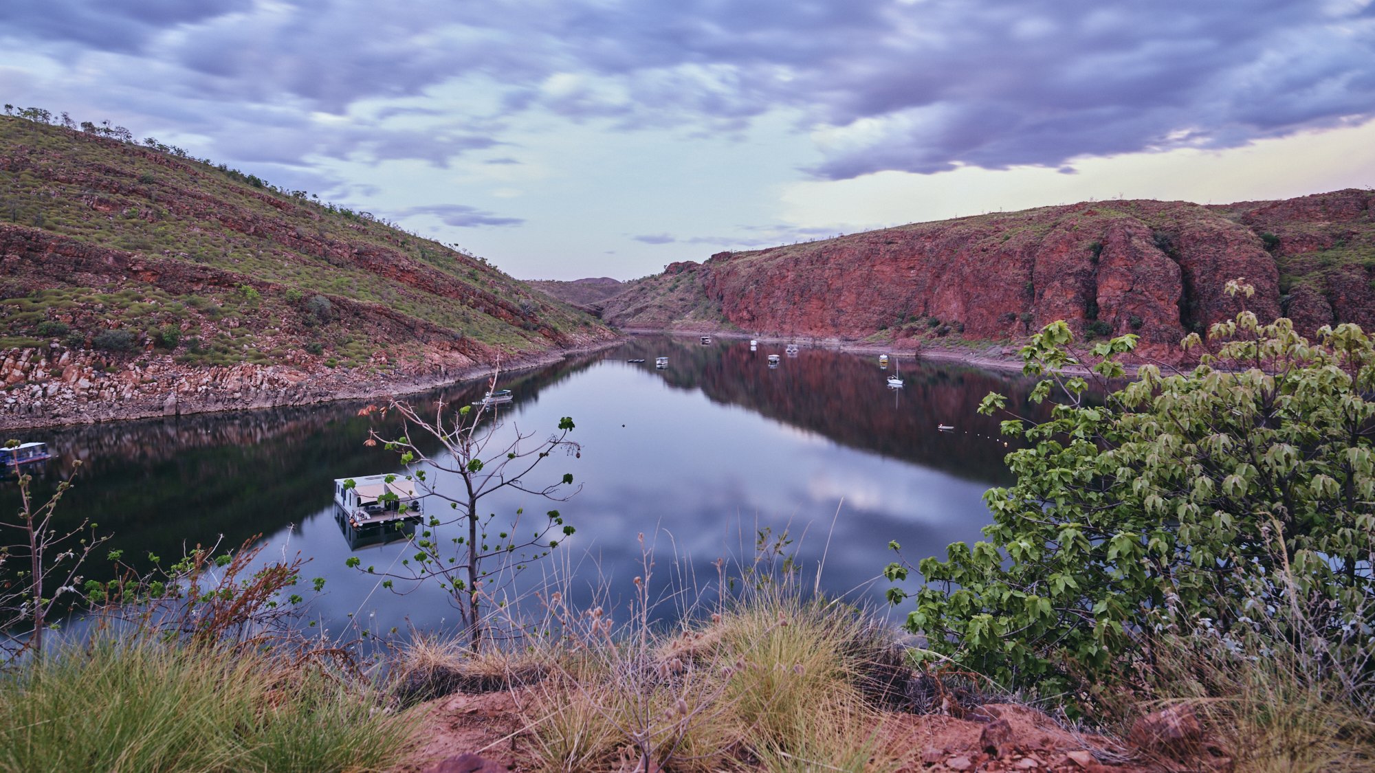 Wild Marranyji_Photo Russell Ord_540 14-11-21.jpg