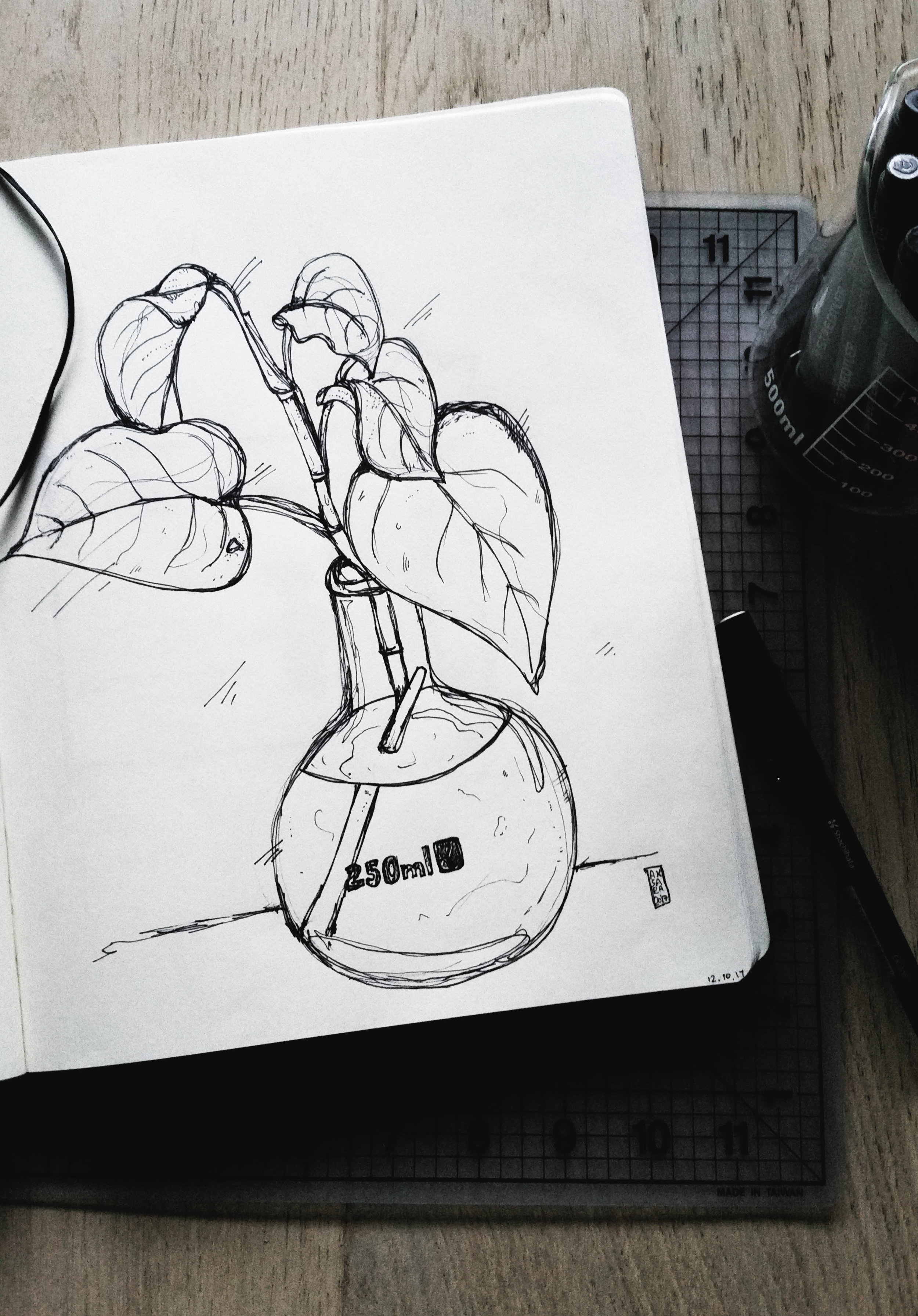 plant_study.jpg