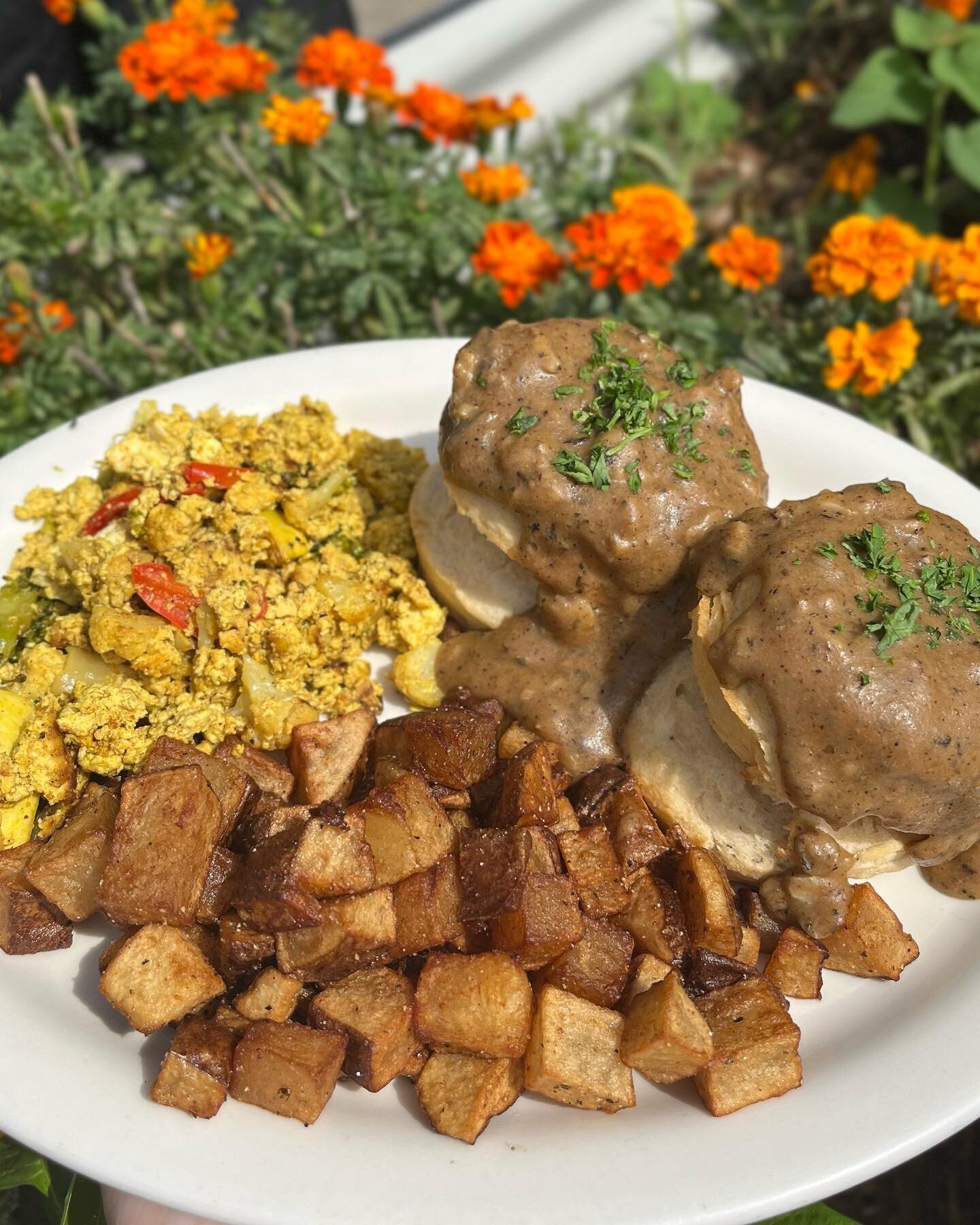 Scuits -n- Gravy 
Saturday 5/20 Brunch Special 
Two Fluffy buttermilk biscuits topped w/ savory mushroom gravy. Served with house made tofu scramble &amp; home-style breakfast potatoes. 
#vegan #tallahassee #breakfast #brunch