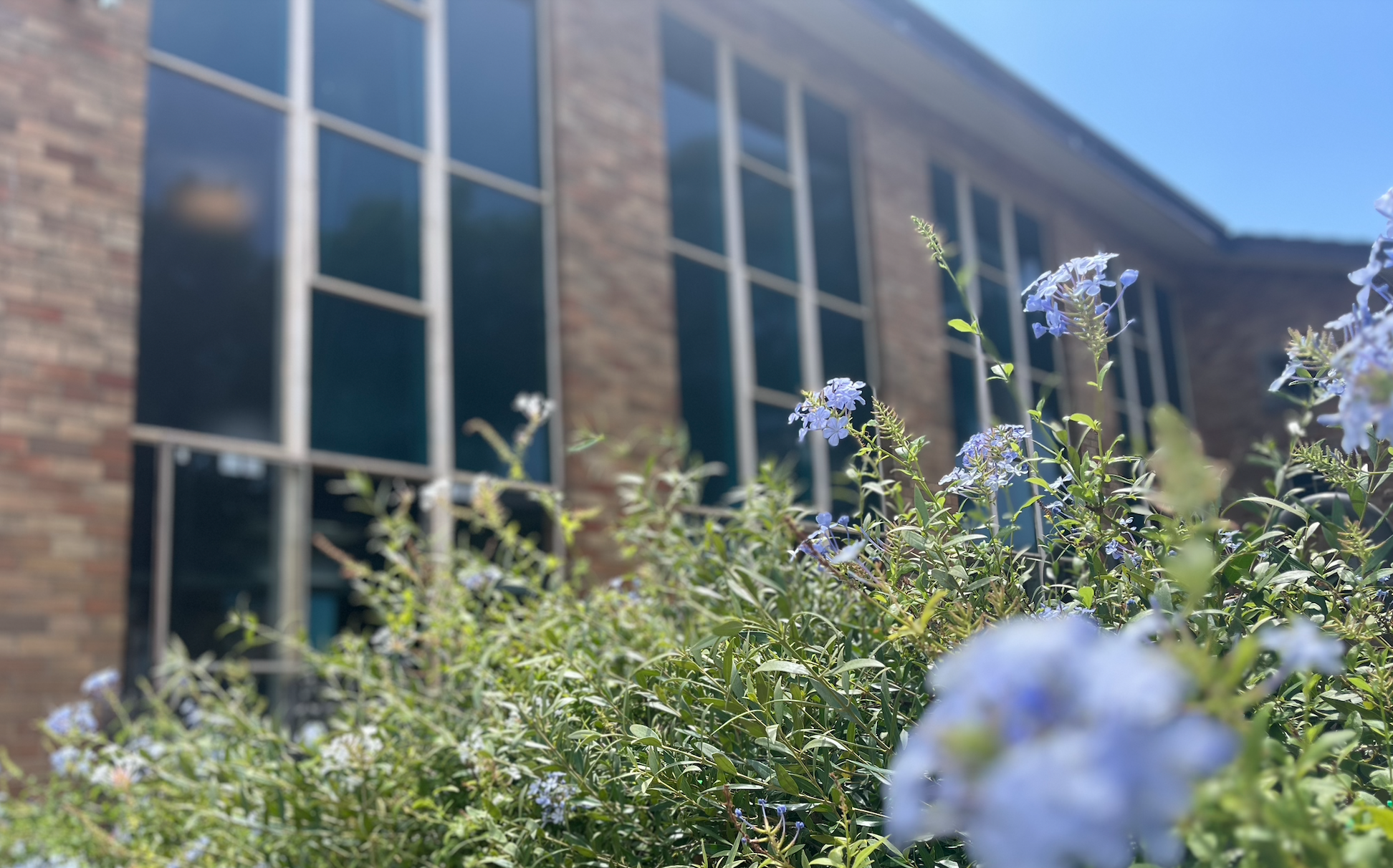 Screenshot 2024-05-12 at 8.09.03 PM.png