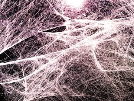 Fascia is Structural