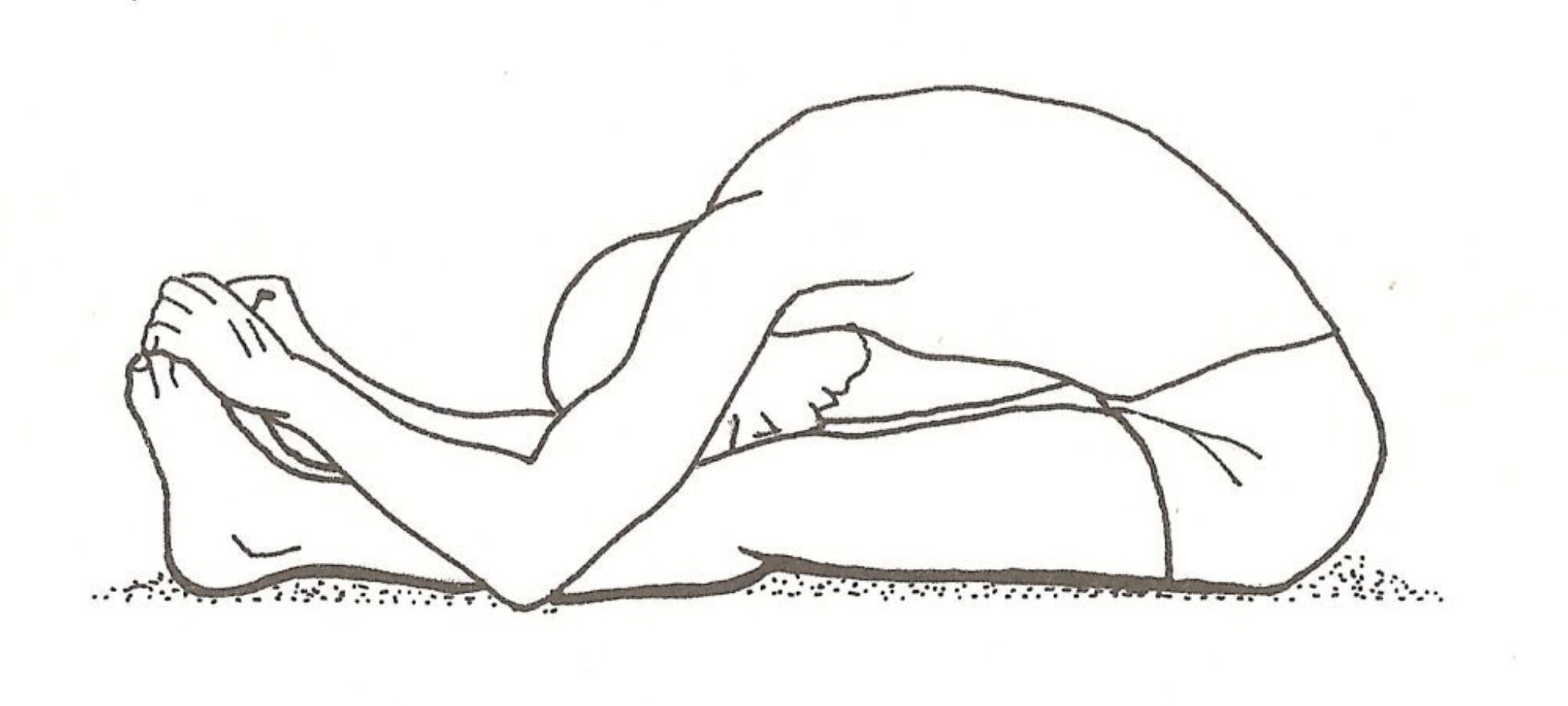 Paschimottanasana (Forward Bend) :  Lower Back Relief