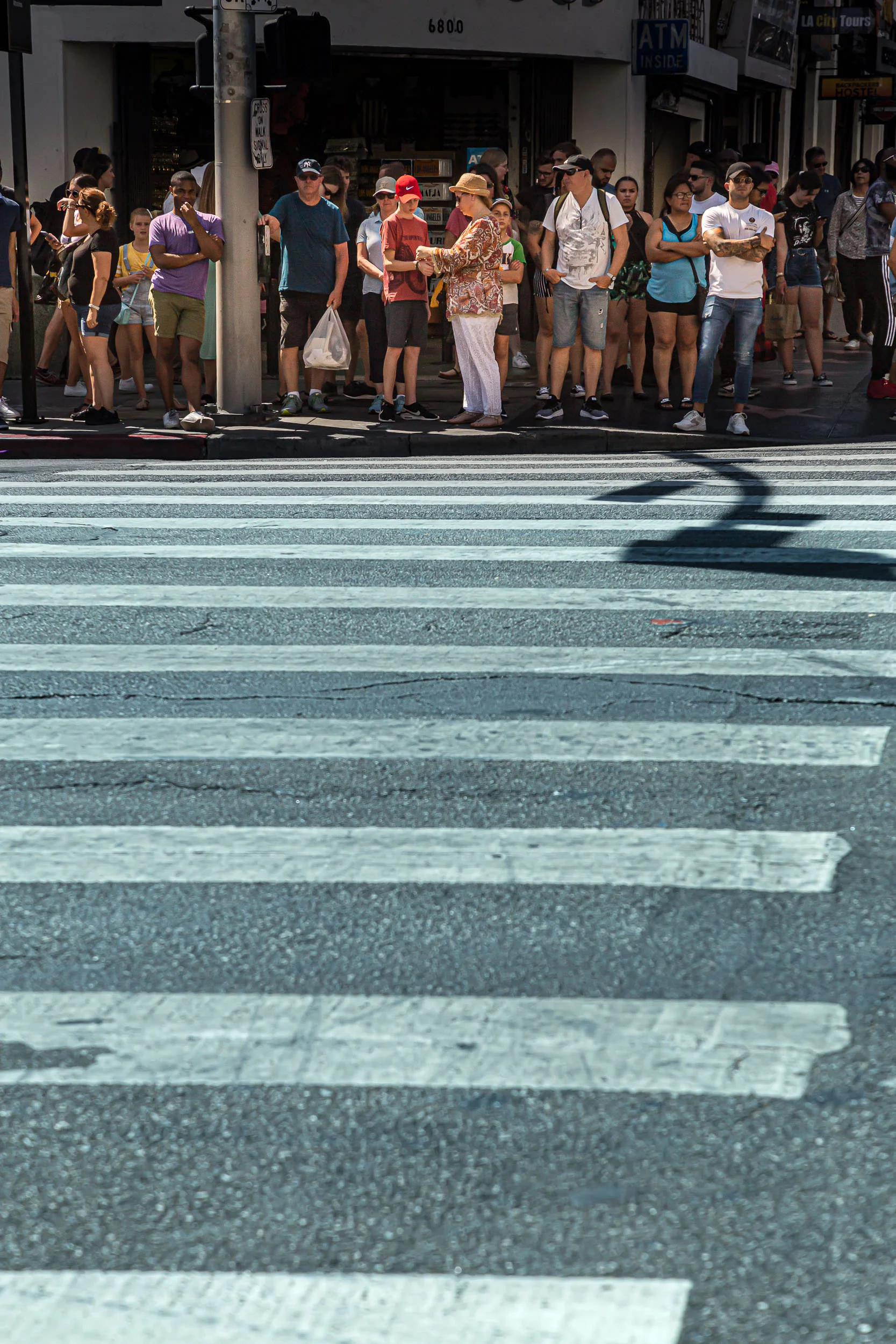 NickKoudis_Street Safari_SS_IMG_7699_2500.jpg