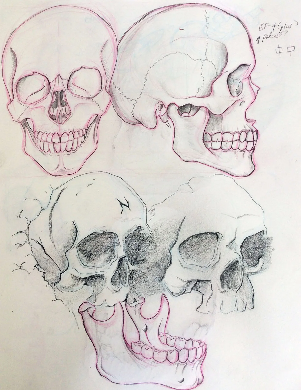 Skulls_01.jpg