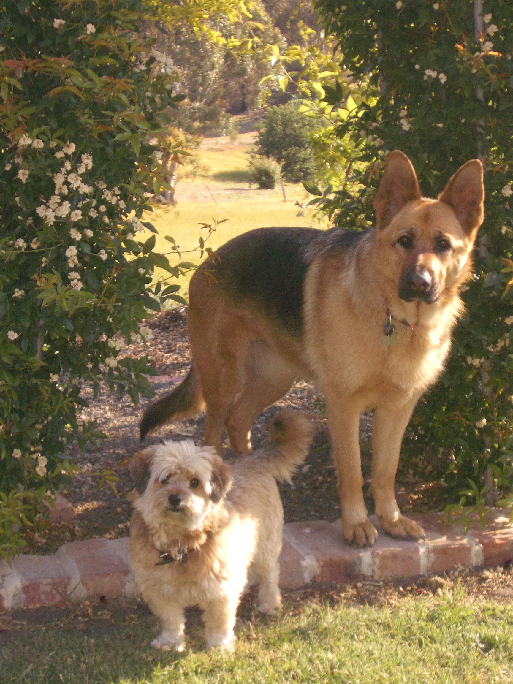 Maddison and Toby