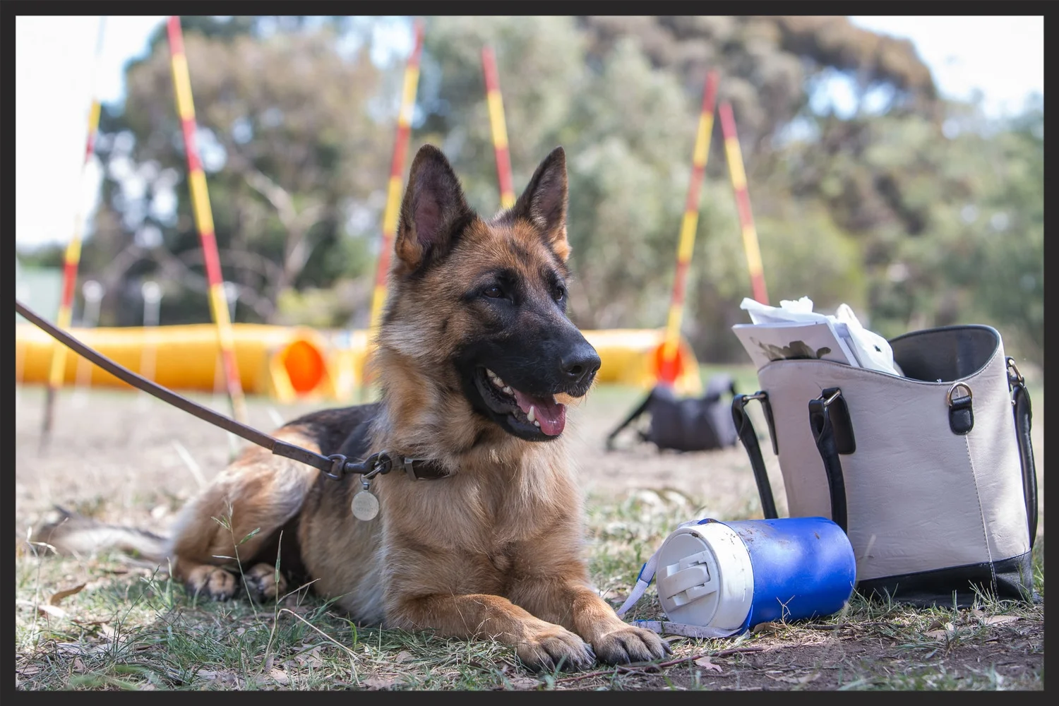 Because one can look attractive and guard things at the same time.