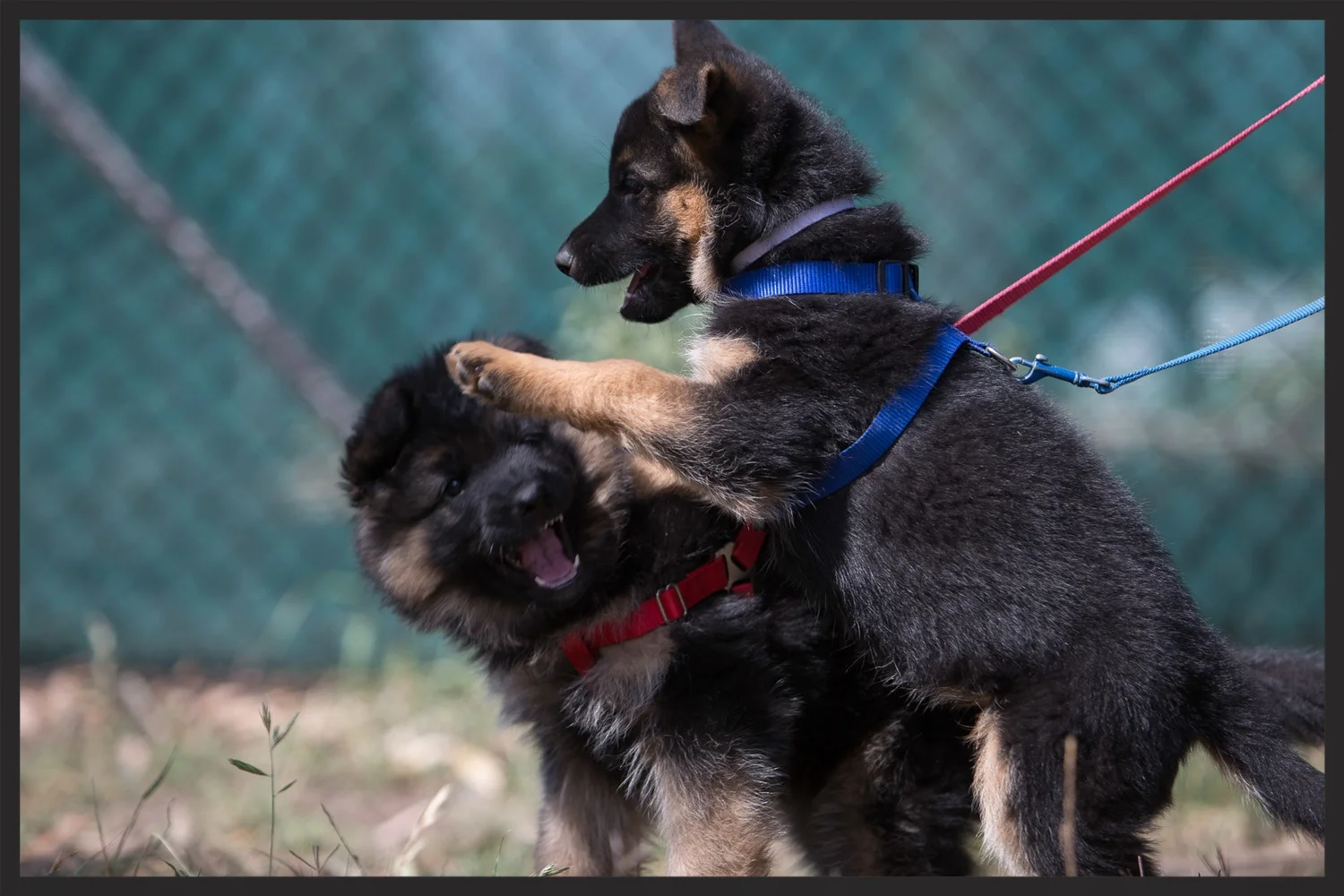 Class is over, playtime!