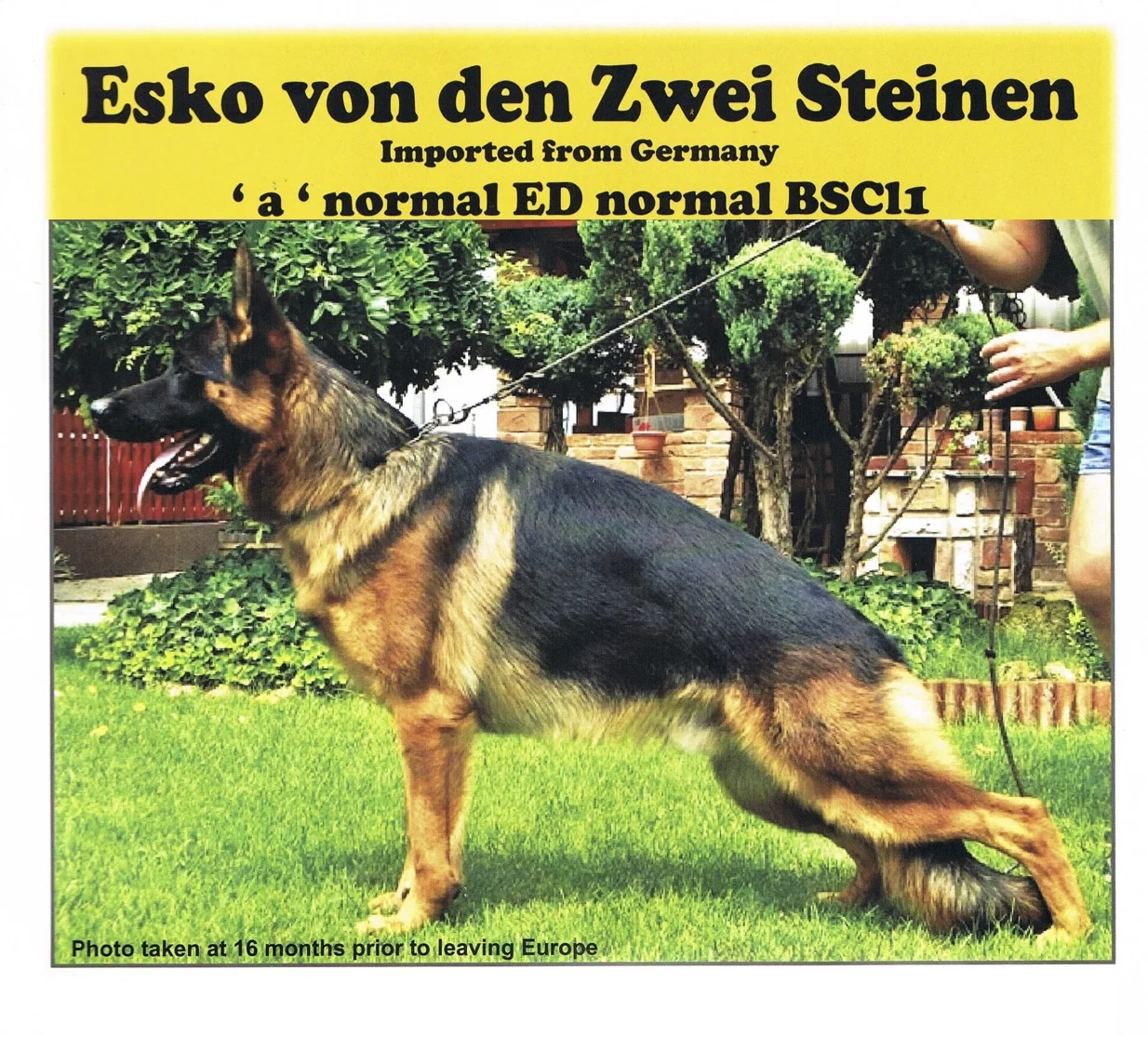 ESKO.jpg