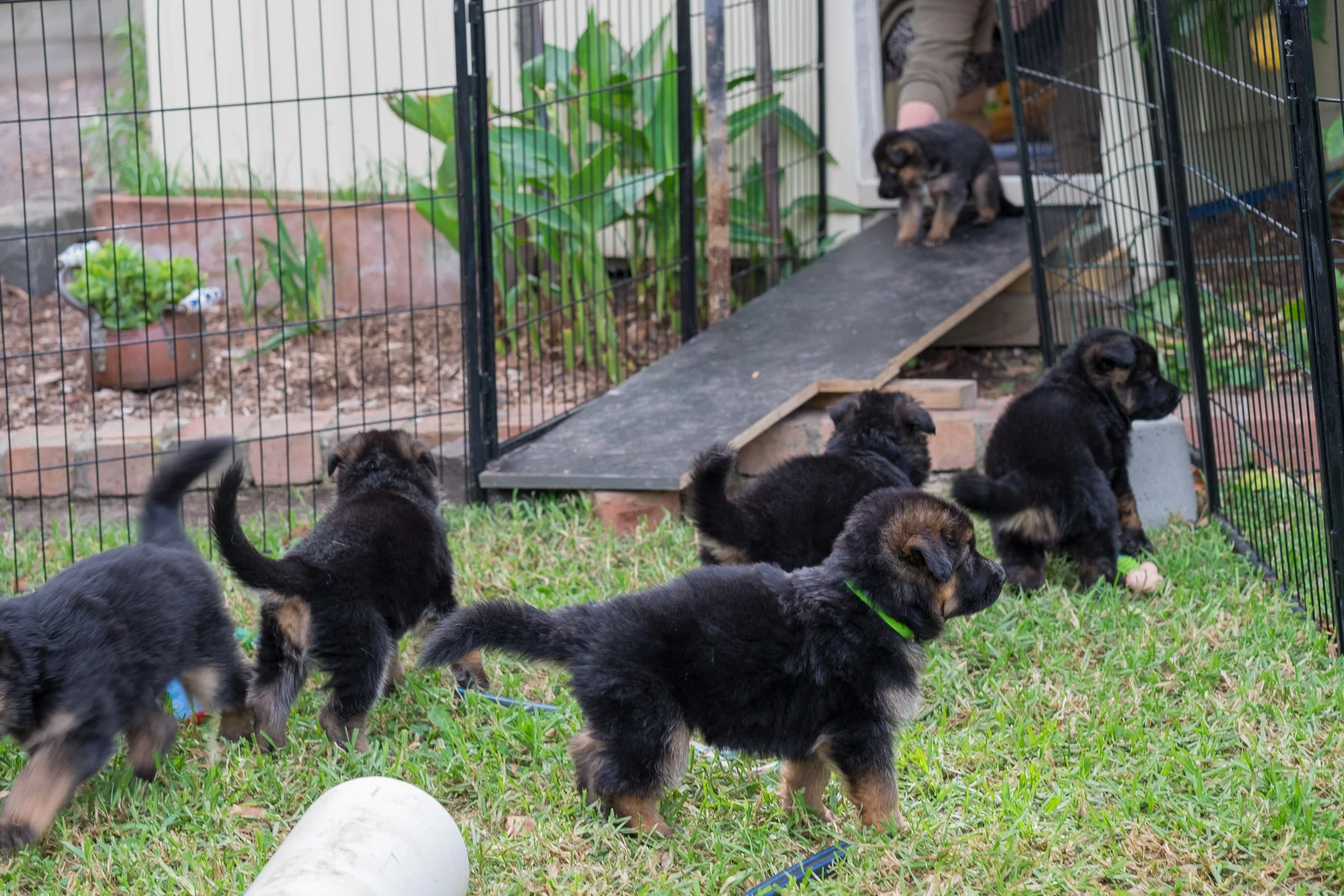 DSCF1125.jpg