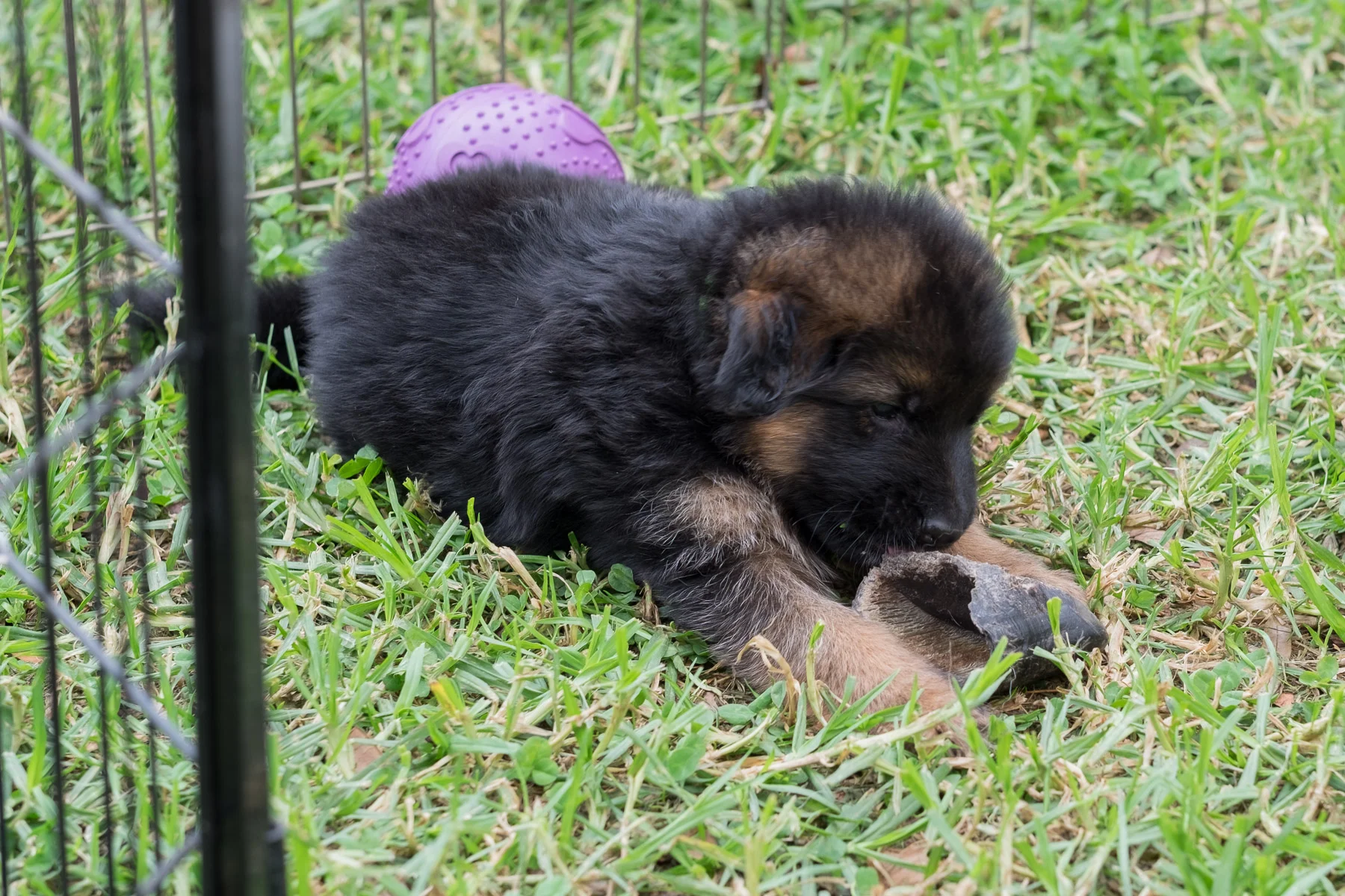 DSCF1168.jpg