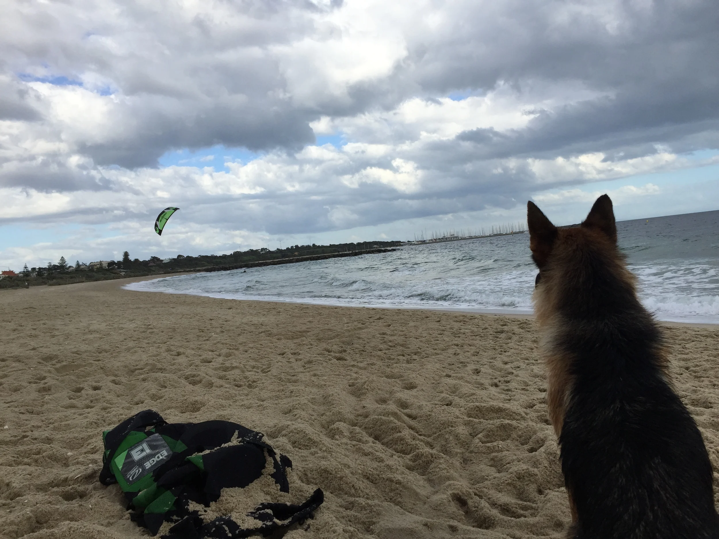 I'm too tired to run after him anymore...