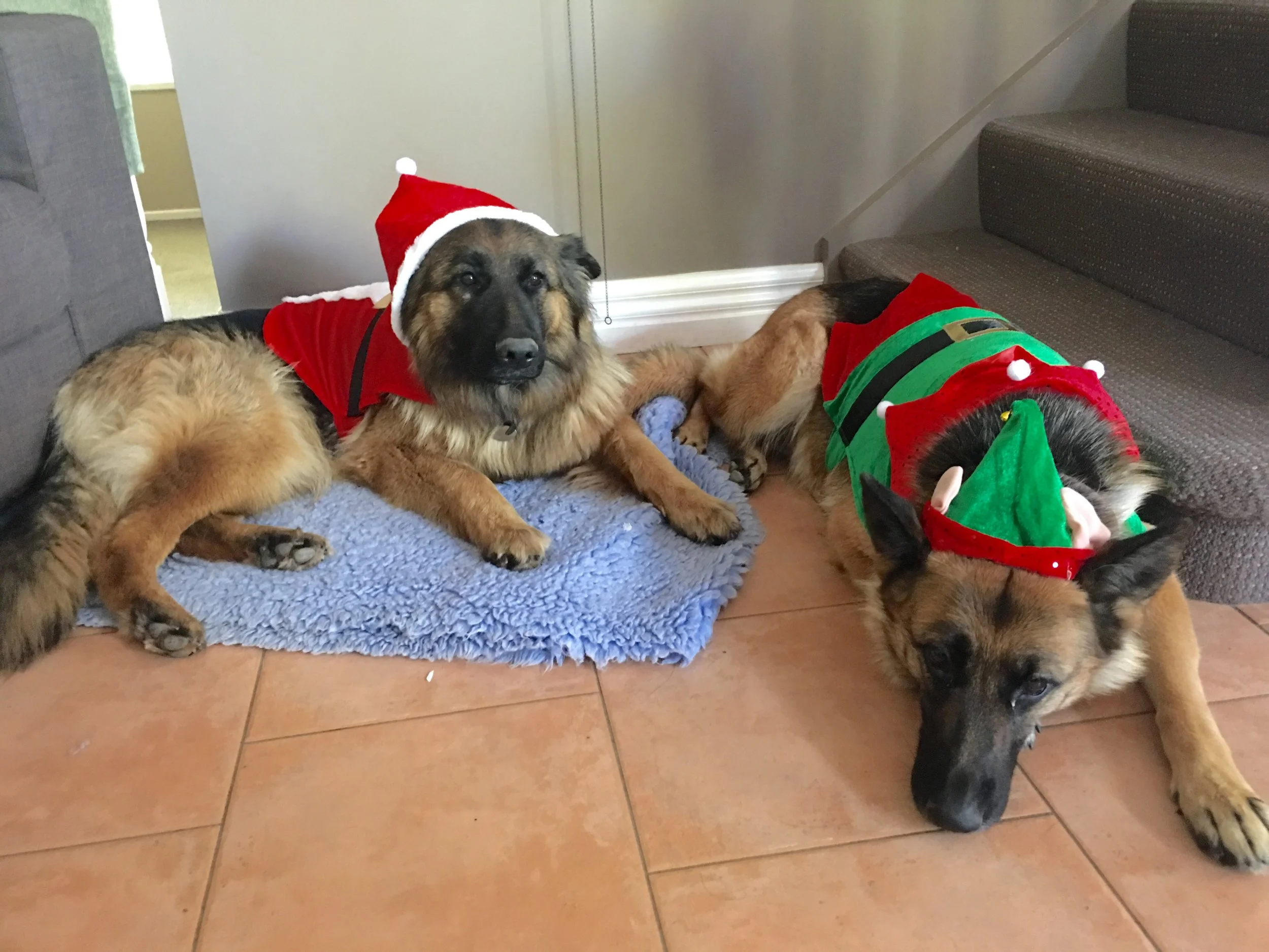 Christmas 2016