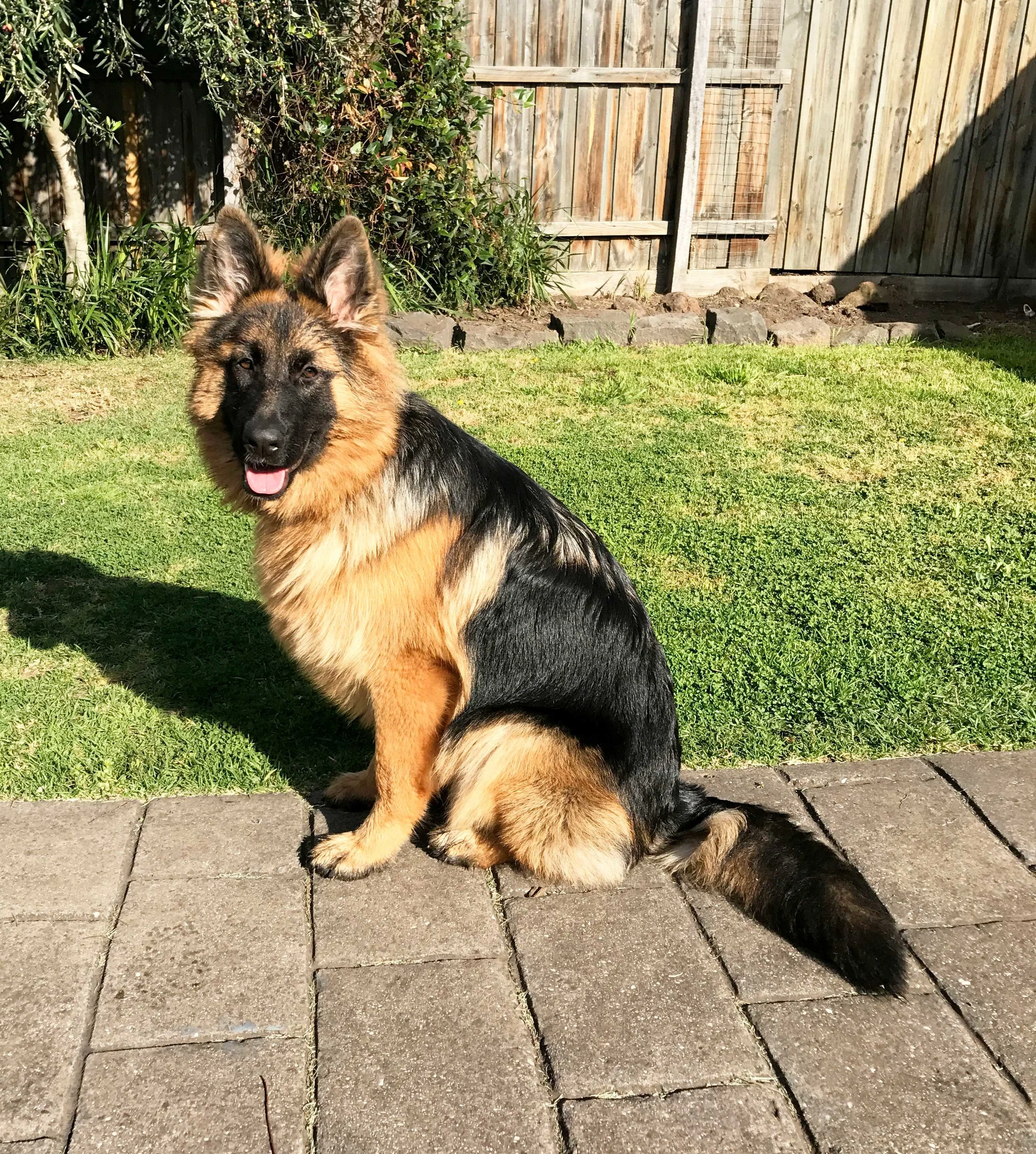 xena 4.jpg