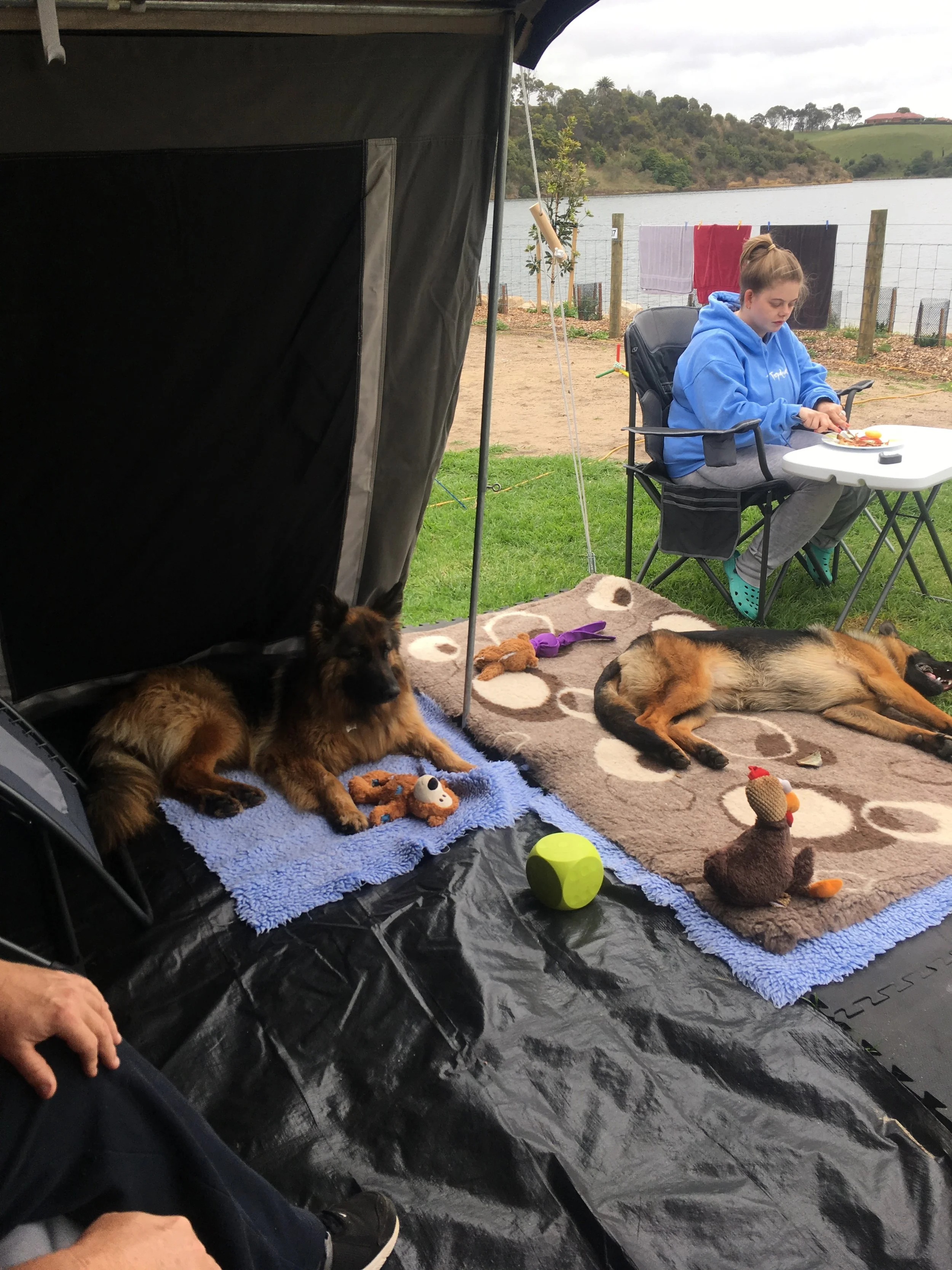 Camping 2017