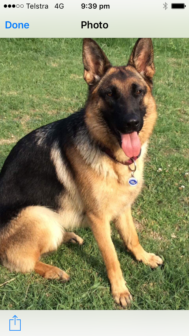 Ava 12 Months Old