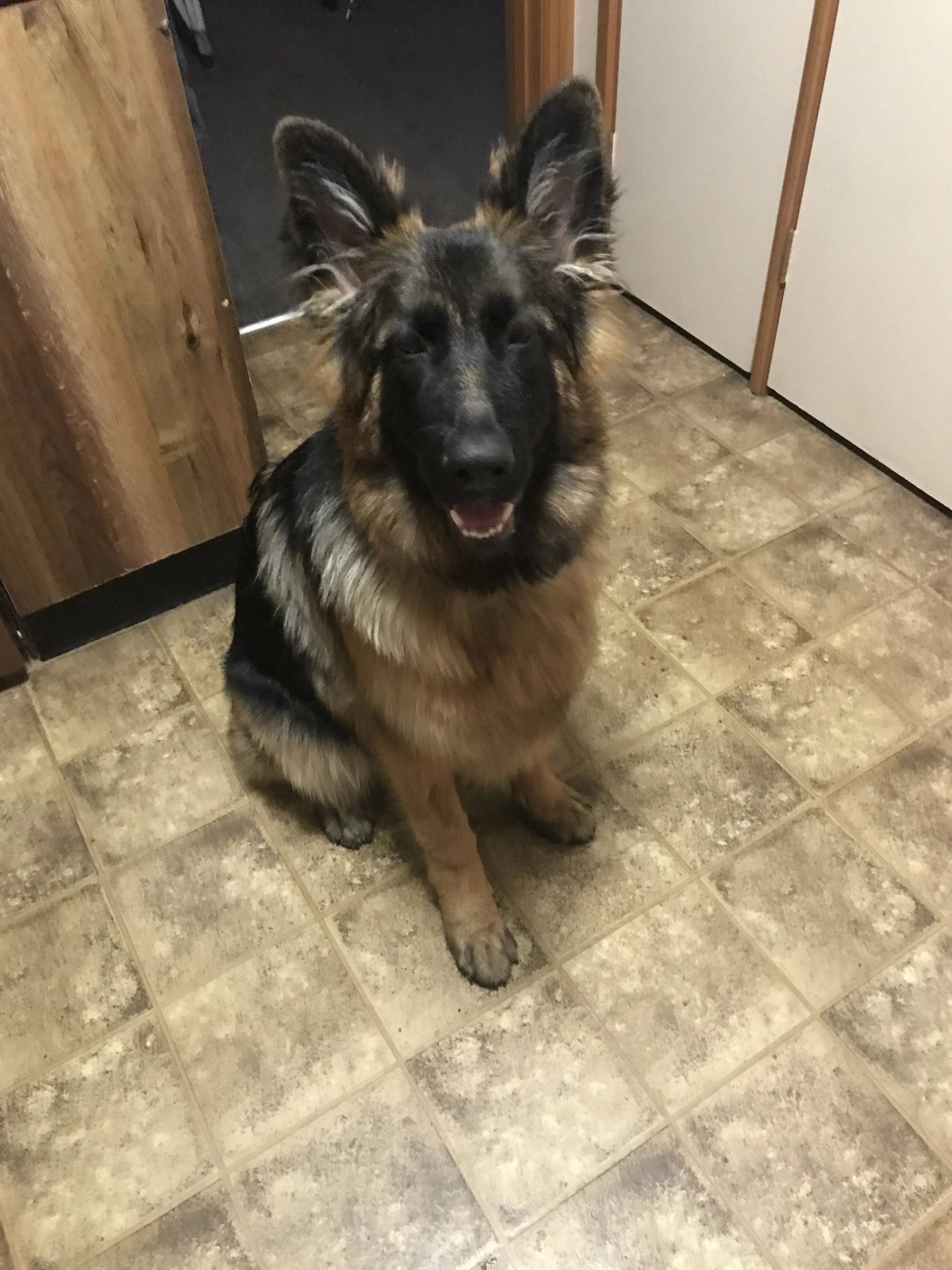 Lili 6 Months
