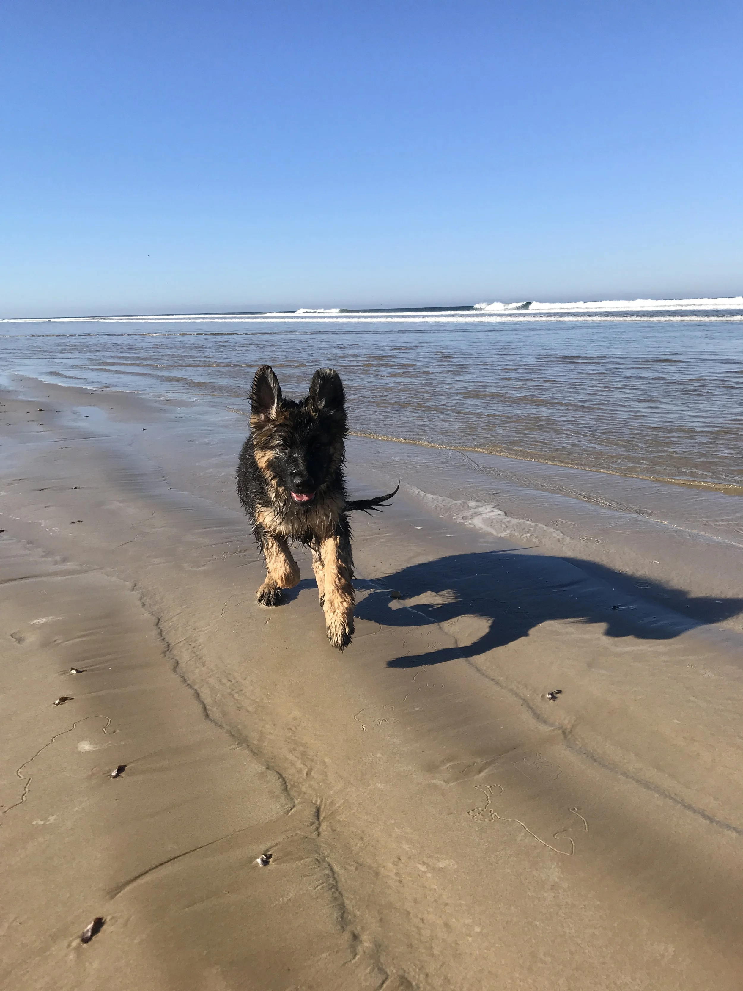 Model run