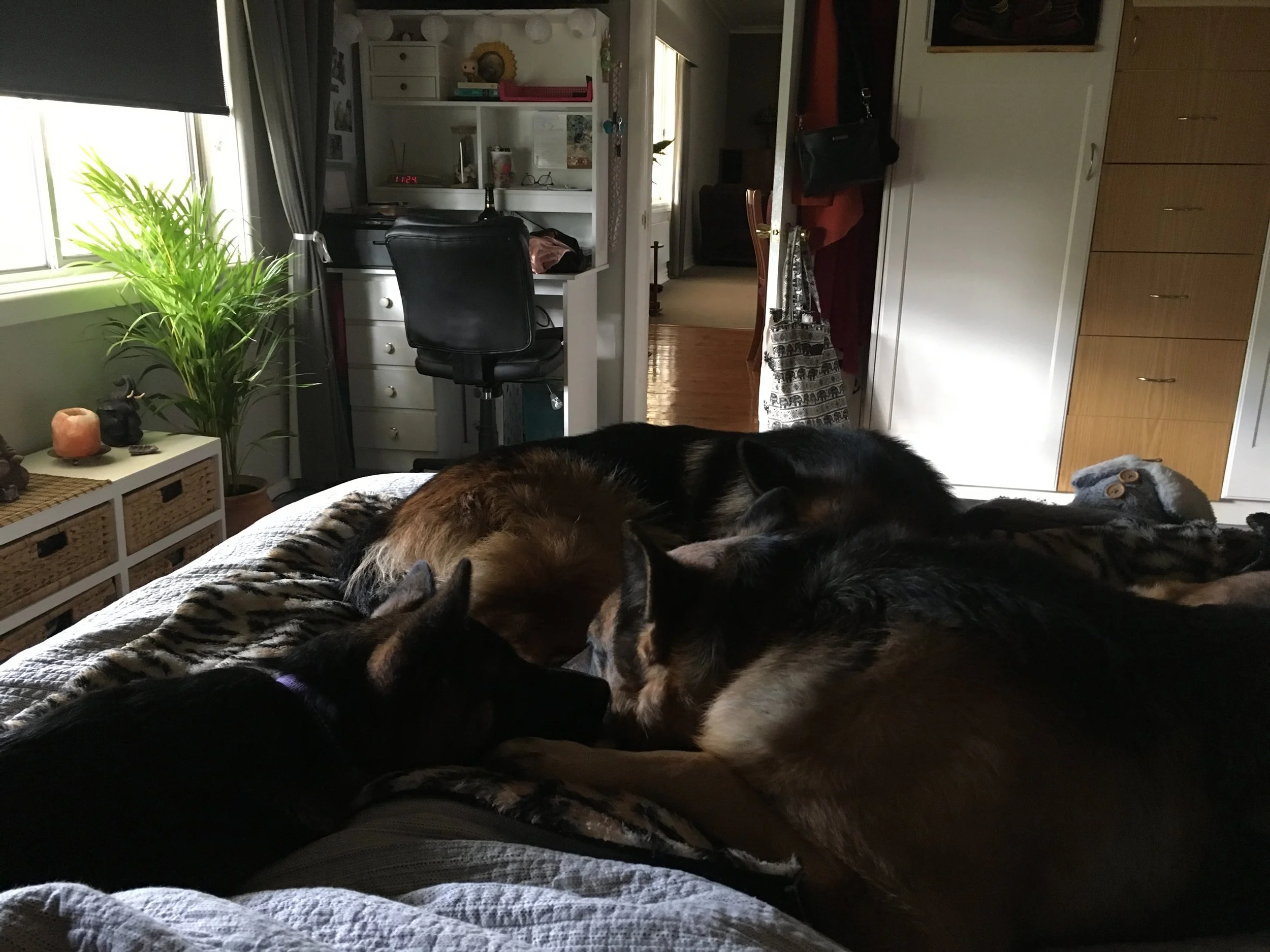 Everyone on the bed Sundays