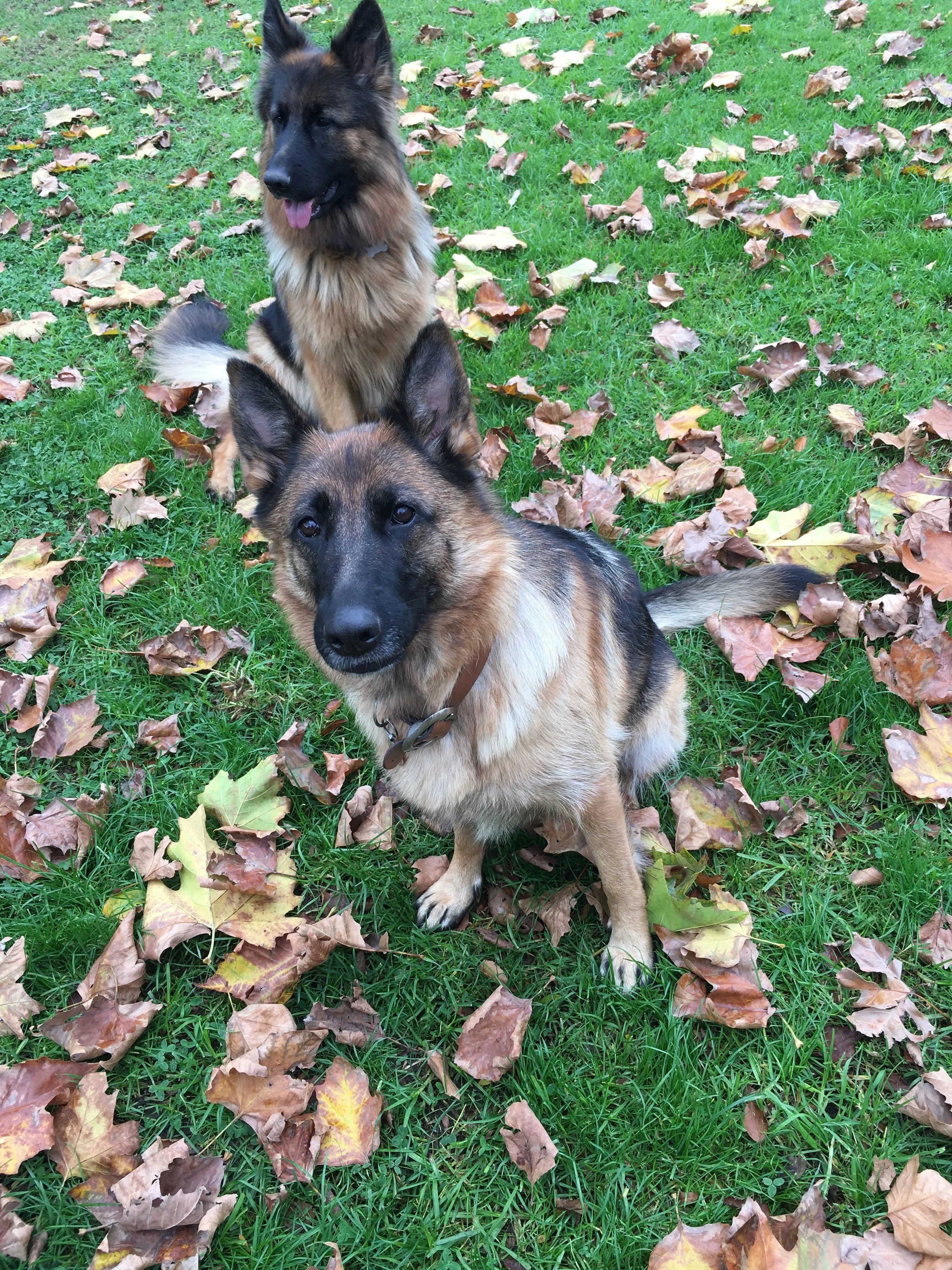Mother and Daughter
