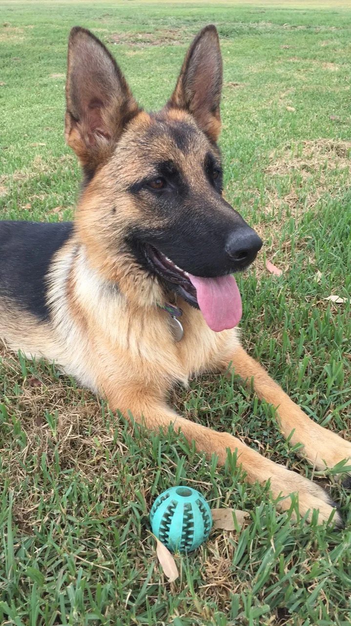 Remi