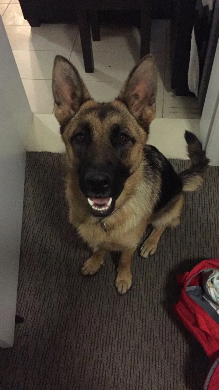 Remi @ 12 Months
