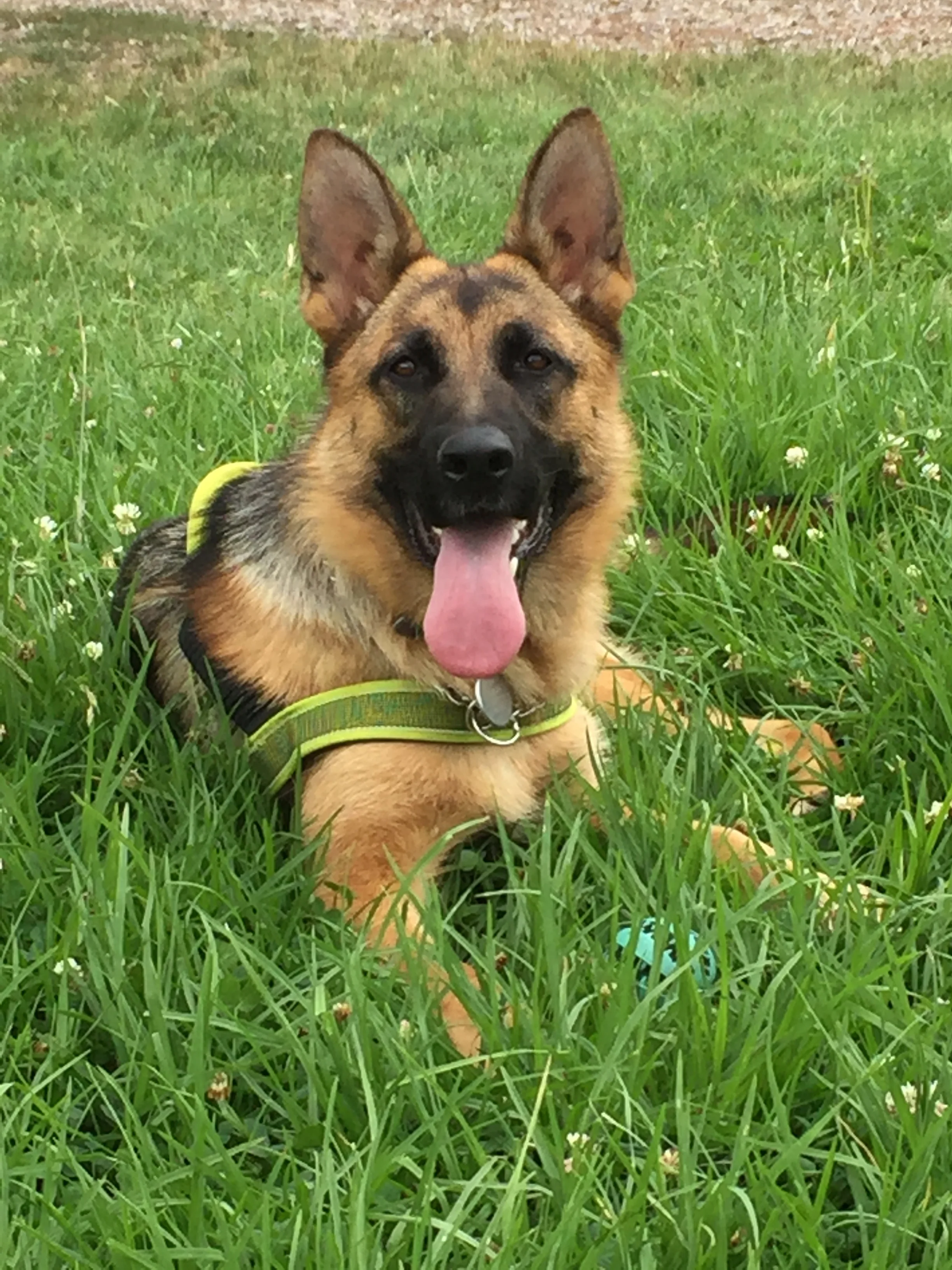 Happy Remi