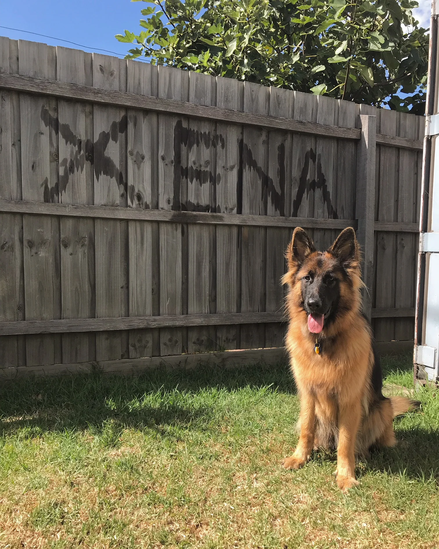 Insta Xena