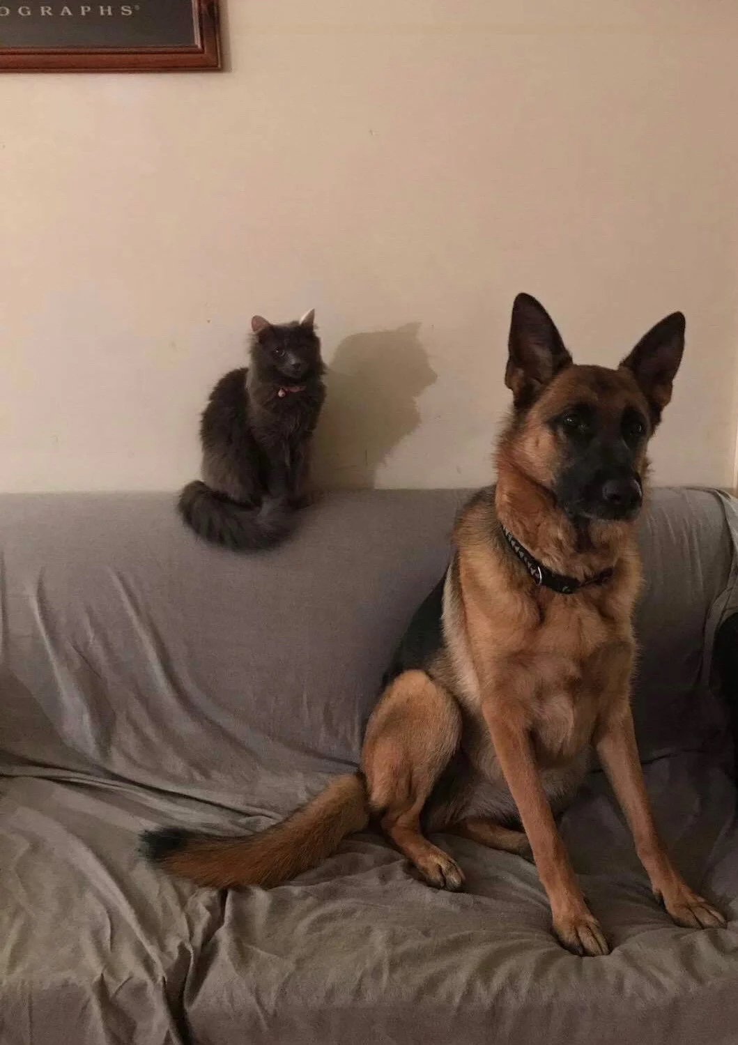 Charlie and Friend