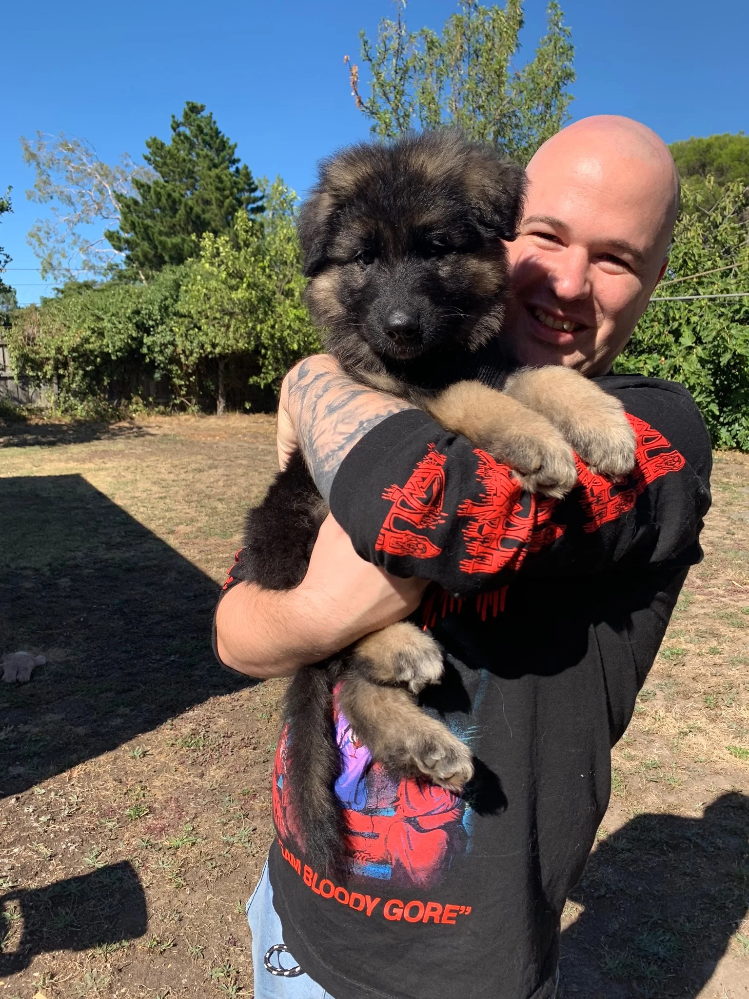 Magic and Shane
