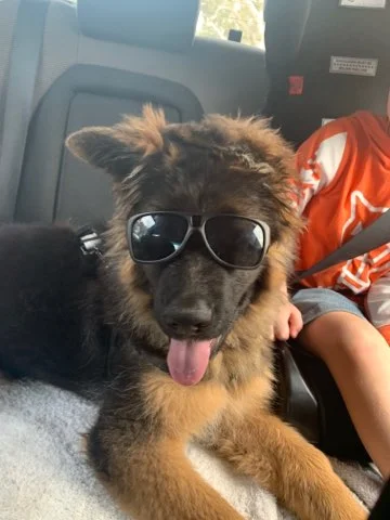 Magic looking very stylish