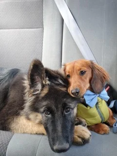 Magic and her bestie