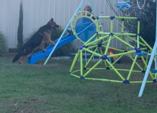 Play time!