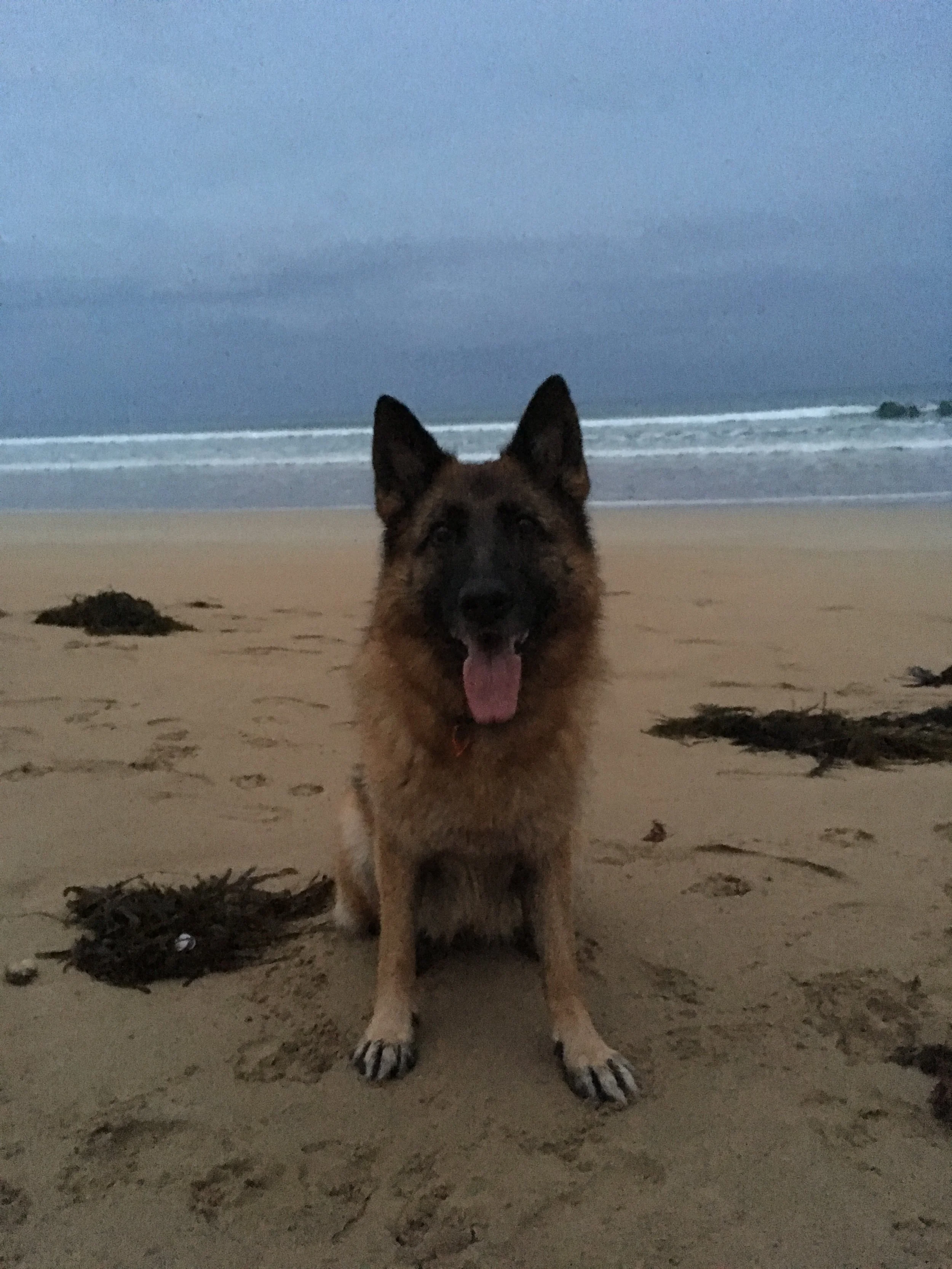 Inca at the beach
