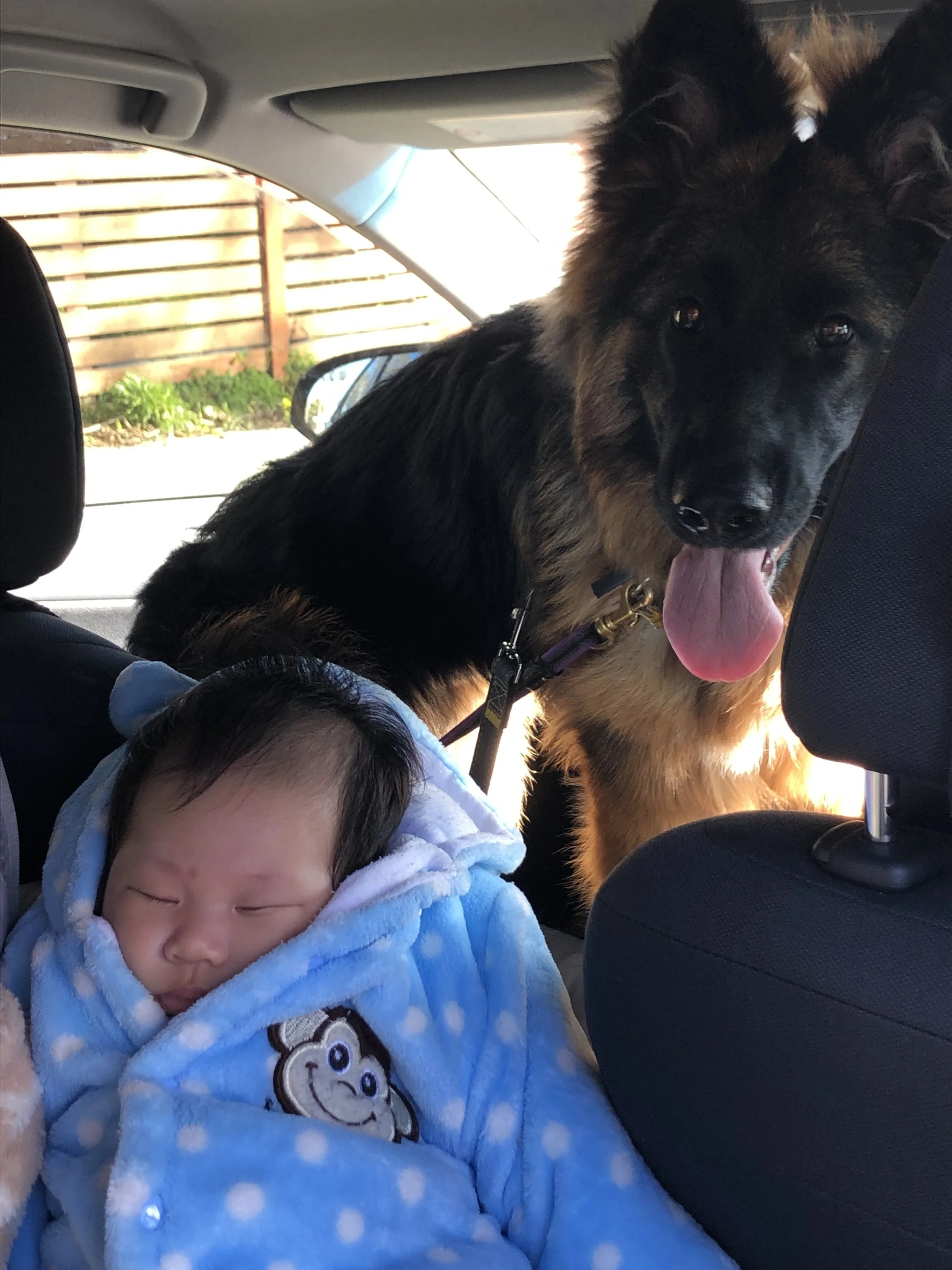 Coco with 'her' baby