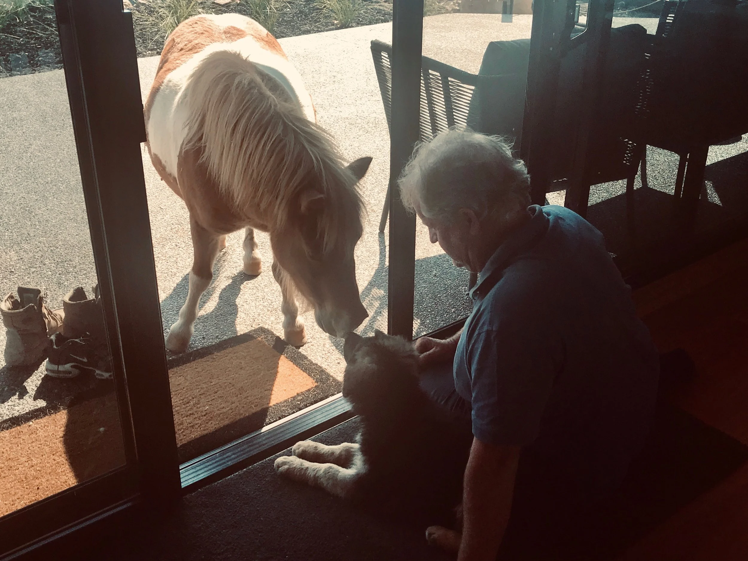 Mac meeting the locals