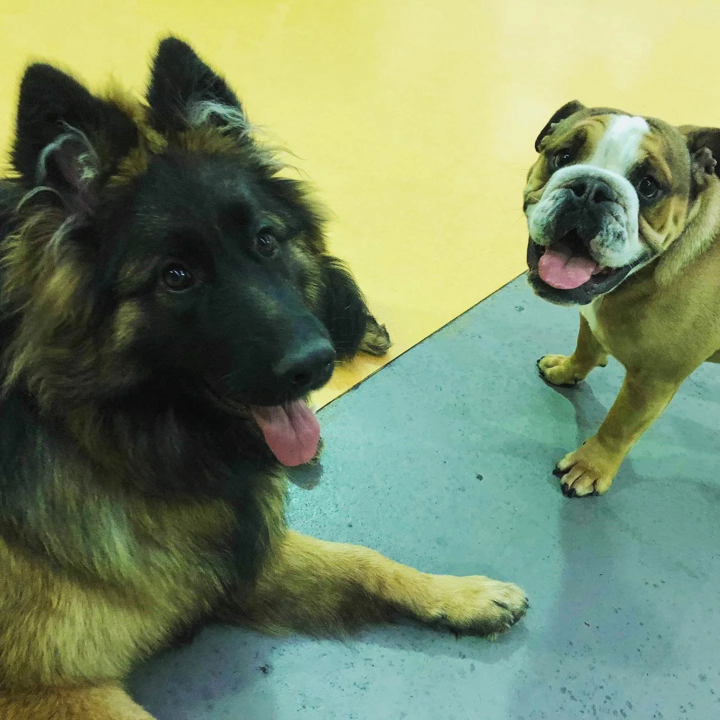 Navi making friends at day care