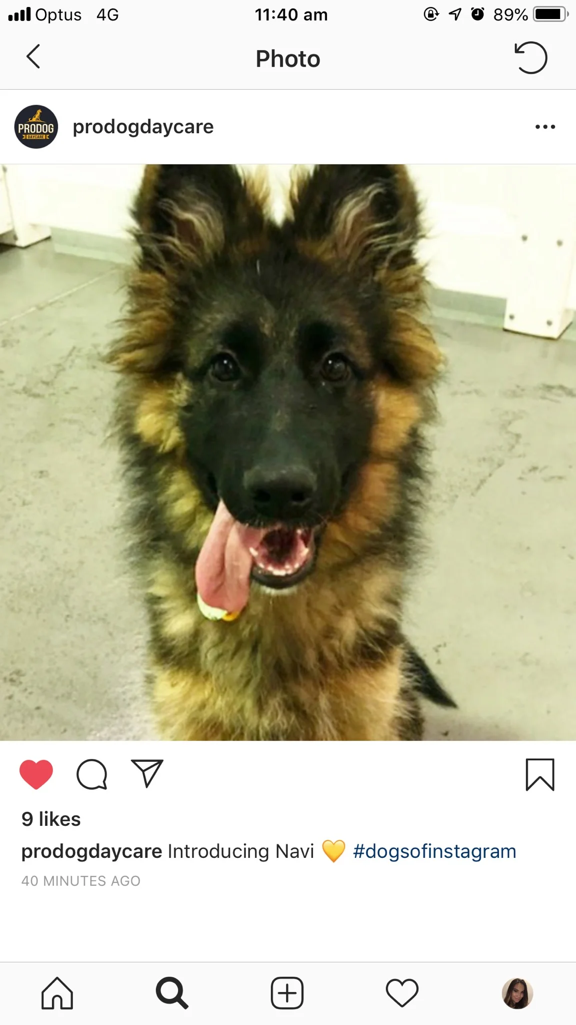 Navi being a superstar