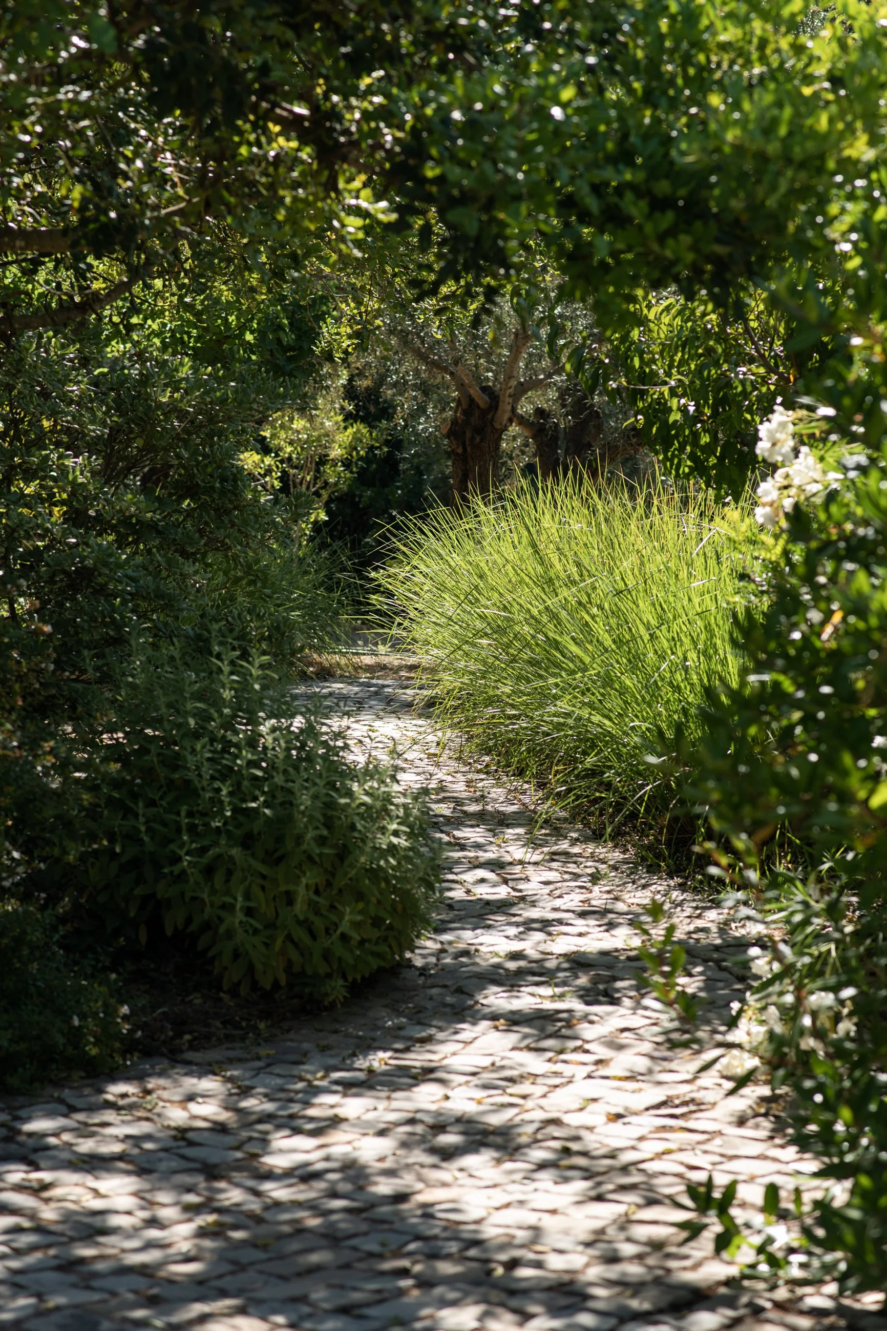 Altanure022.jpg