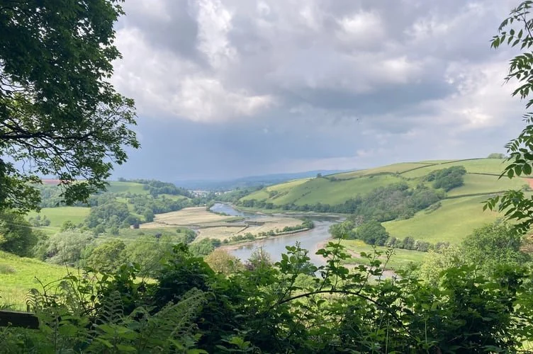 SHARPHAM_5.jpg