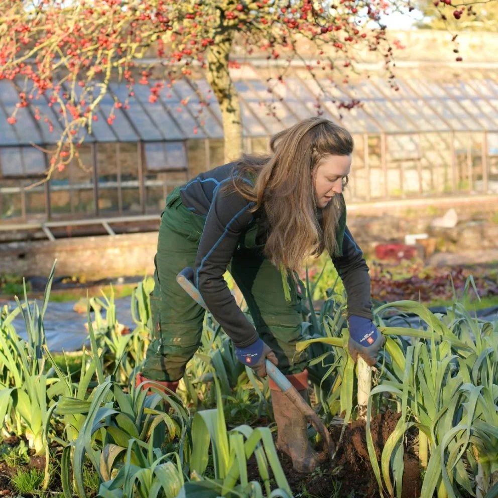 bryony-image(992x992-crop-autorotate).jpg