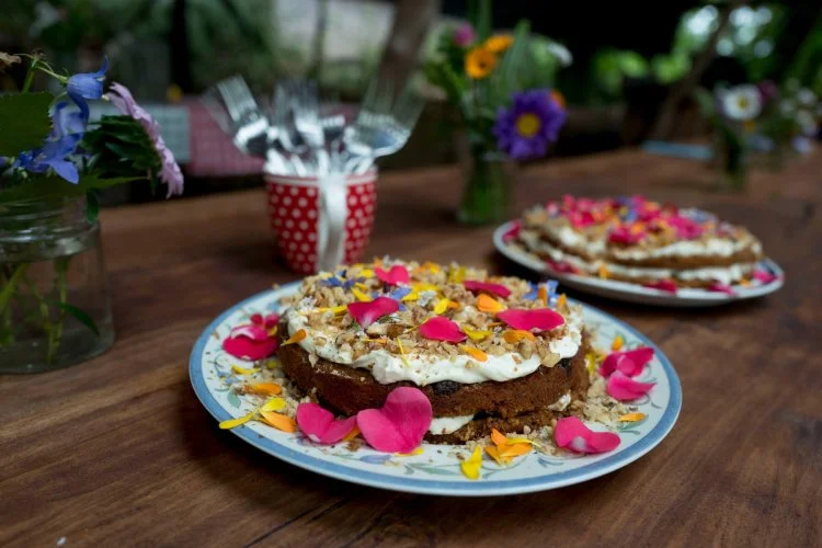 sharpham_trust_woodland_food-image(750x500-crop-autorotate).jpg