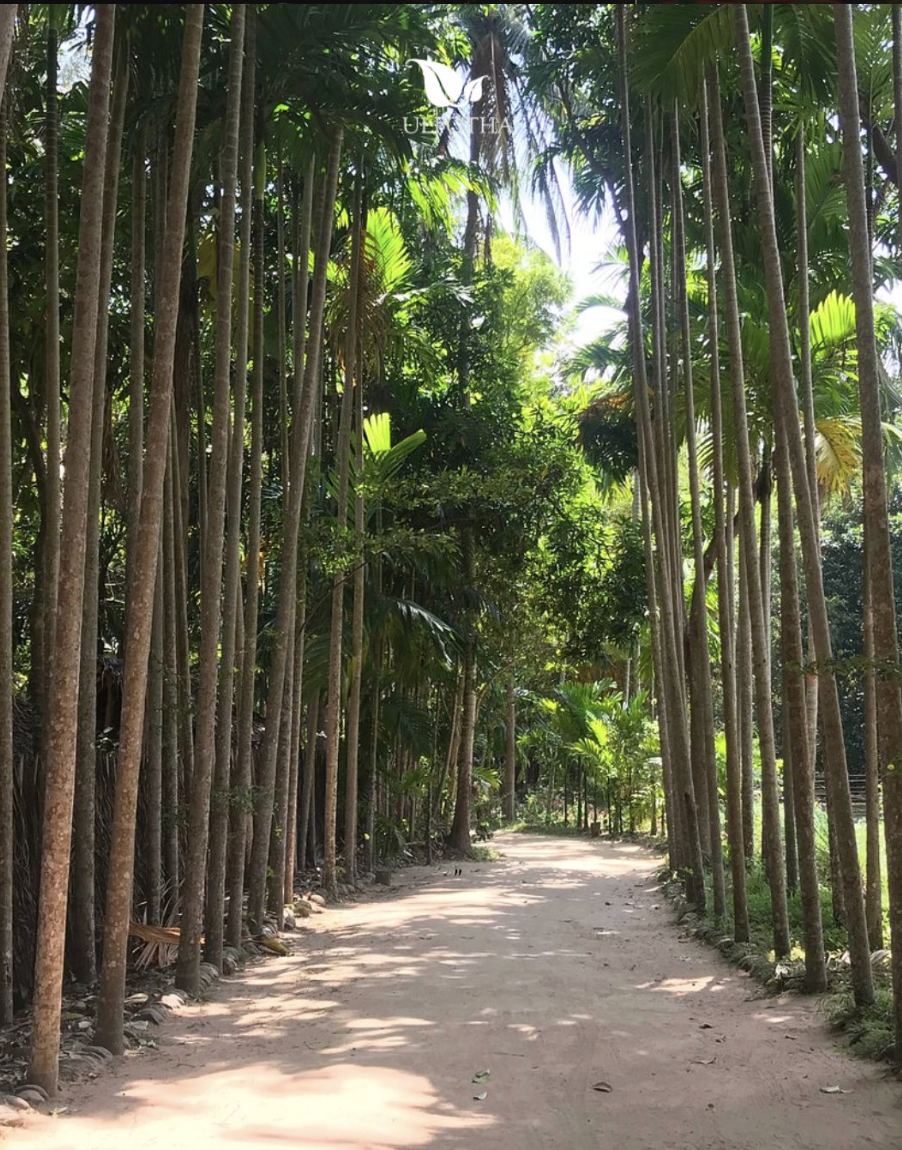 Screenshot 2026-08-10 at 21.46.24.png