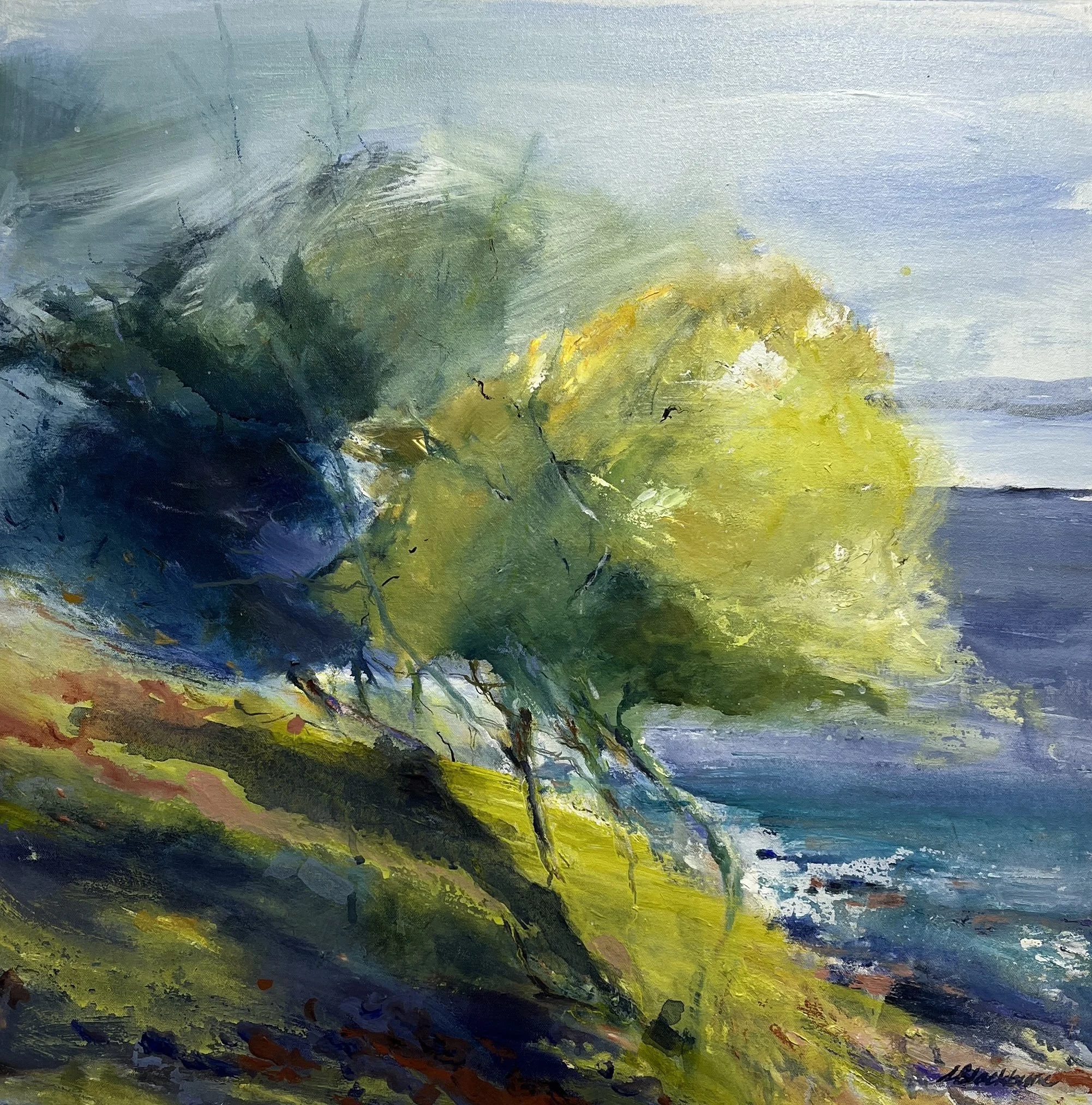 A Fresh Wind, Manley by Sandra Blackburne