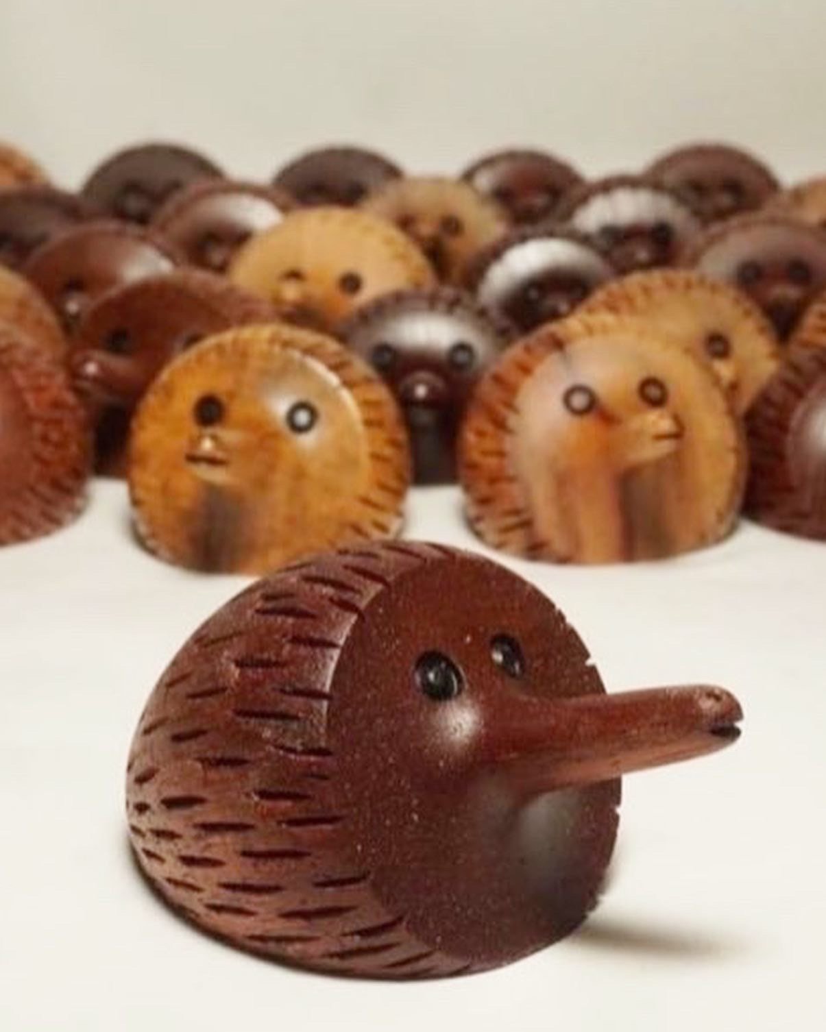 Echidnas by Simon Begg