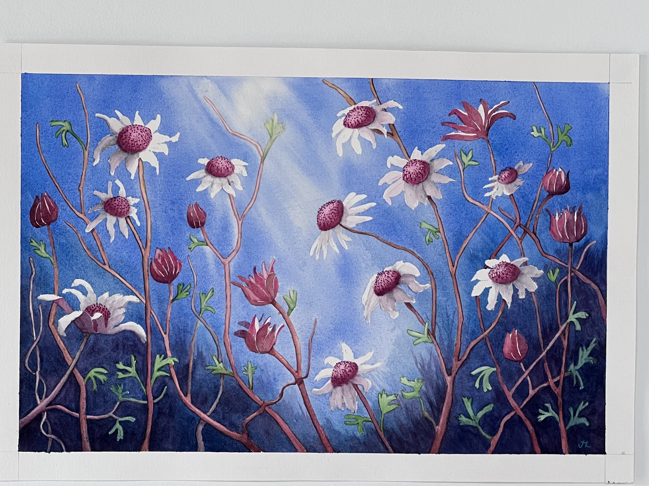 Bloomin’ Pink Flannels by Jane Latella