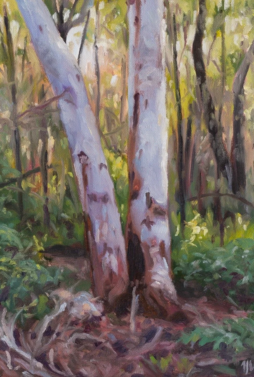 About Mathew Weatherstone and his upcoming workshop ~ THE LIGHT IN THE LANDSCAPE  10-4, SUNDAY 24TH MARCH 2024