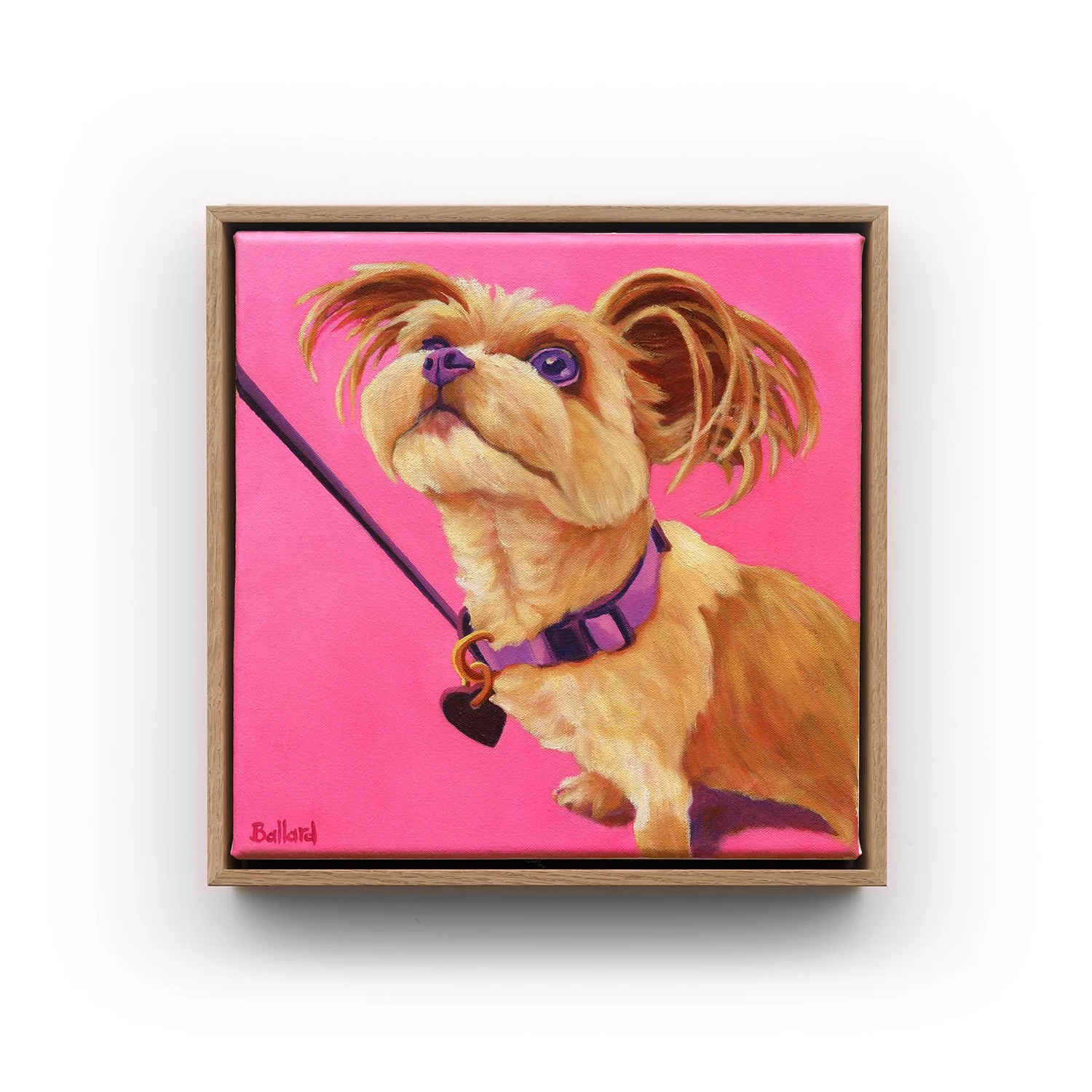 Ballard_Ruffled but ready_34x34cm_Gallery_WEB.jpg