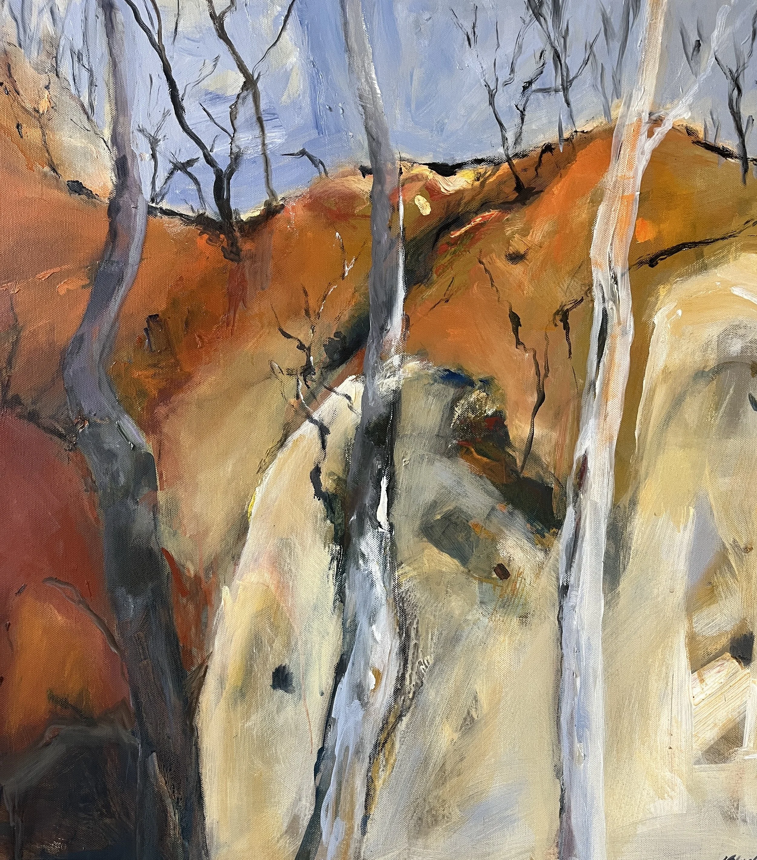 Golden Gully, Hill End.JPG